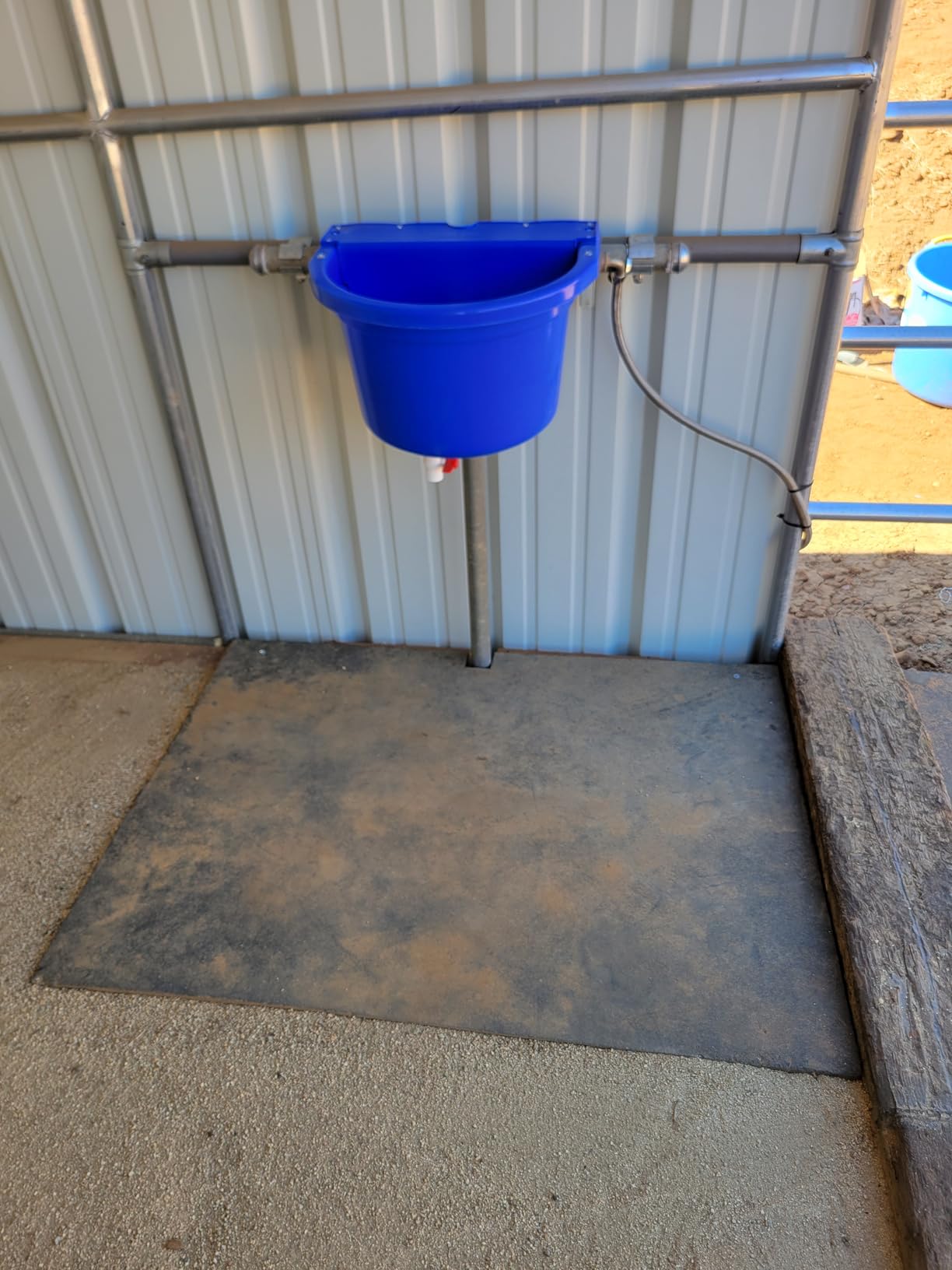 Little Giant Automatic Animal Waterer | DuraMate Float Controlled Automatic Waterer for Livestock | Heavy Duty and Durable | Made in USA | 4 Gallon (Black, 4 Gallon) customer photo 2