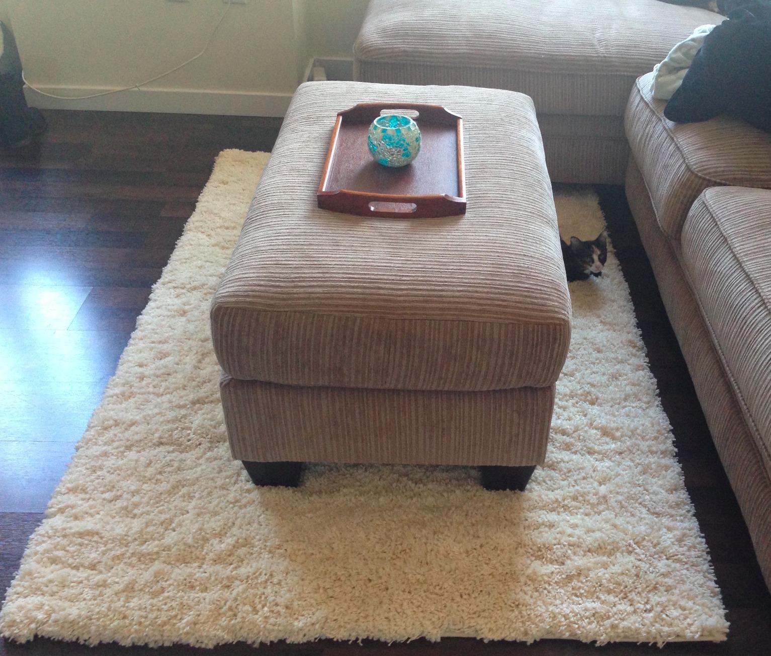 SAFAVIEH Area Rug 4x6 - California Shag Collection - Ivory, Non-Shedding & Easy to Clean, Ultra Plush Thick Pile, Ideal for Living Room, Bedroom, Dining Space (SG151-1212) customer photo 2