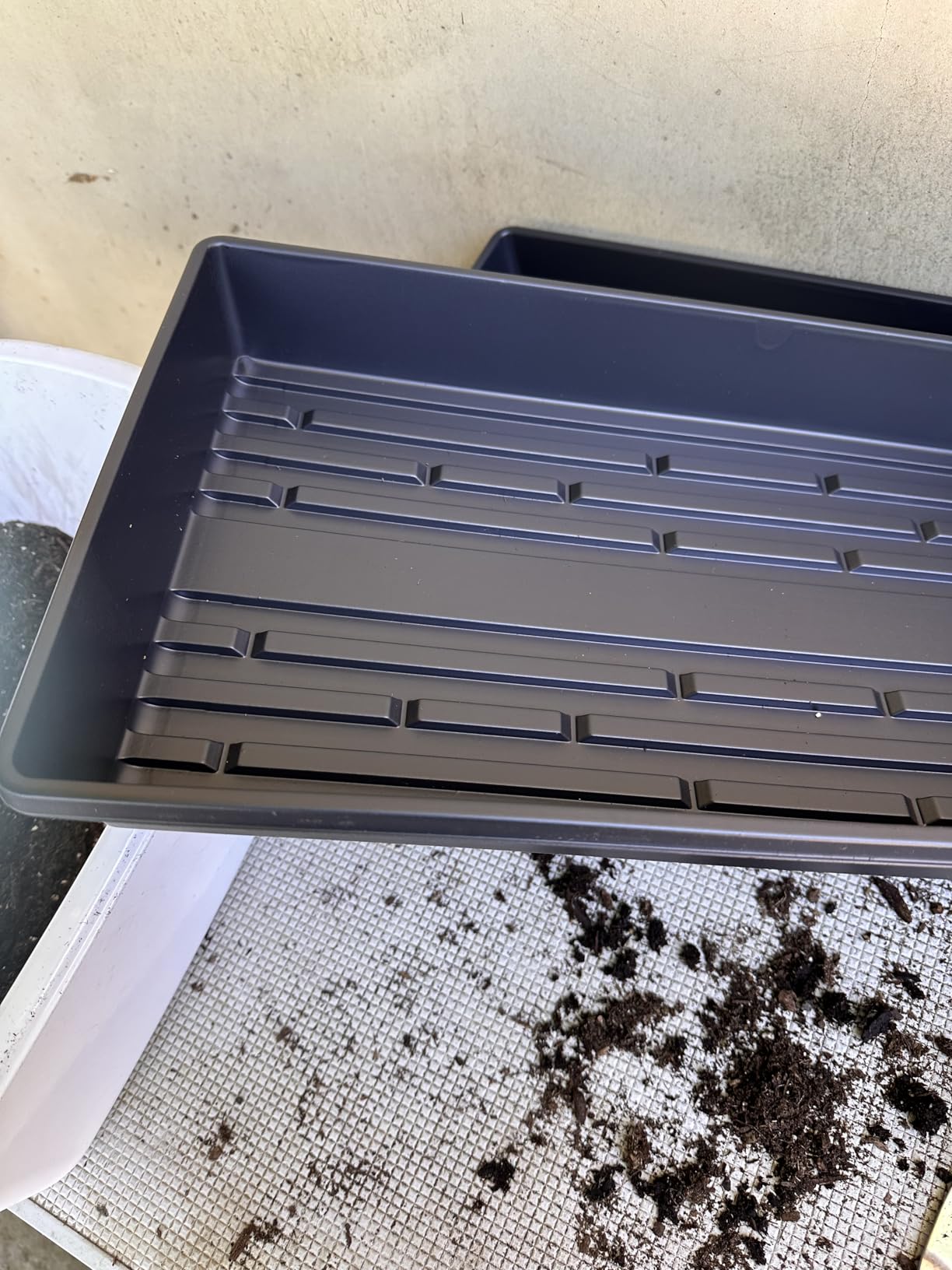 10 Plant Growing Trays (No Drain Holes) - 20