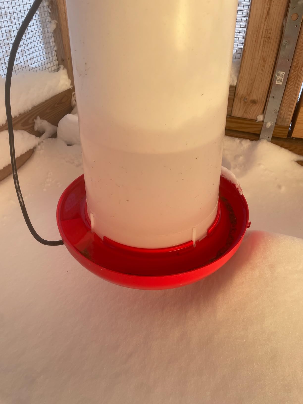 Farm Innovators HB-60P Thermostatically Controlled Heated 2 Gallon Plastic Outdoor Year Round Poultry Chicken Water Bucket Drinker, White/Red customer photo 2