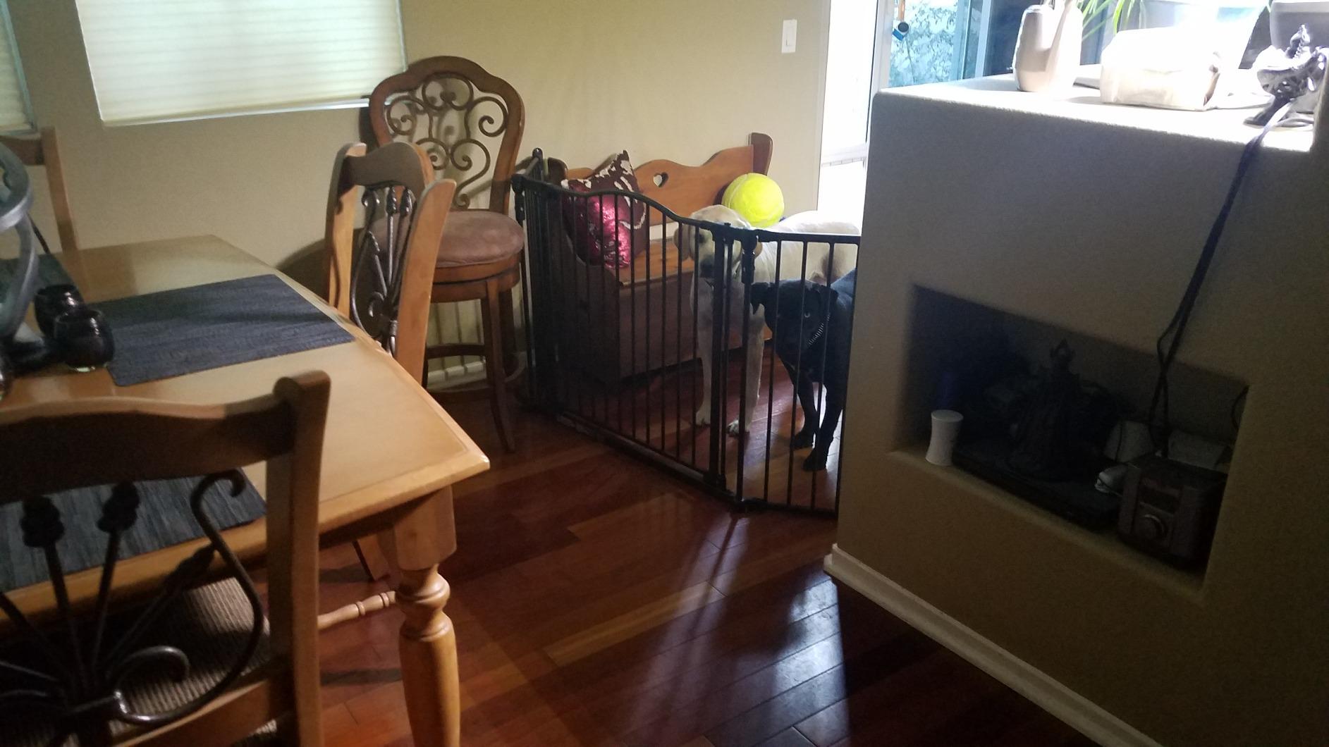 Toddleroo by North States - Deluxe Décor Safety Gate: Hardware Mounted Extra Wide Metal Baby Gate - Adjustable Child Gate - 38.3 to 72 Inches Wide - 30 Inches Tall - Matte Bronze customer photo 2