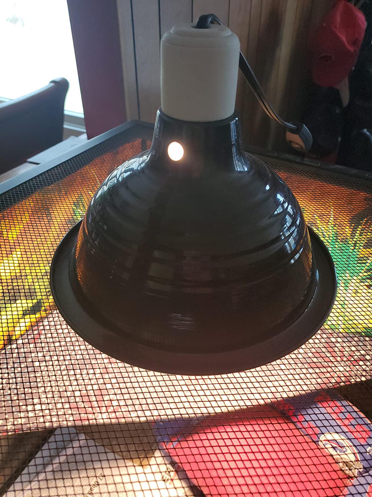 Zilla Premium Reflector Dome Reptile Heat Lamp Fixture, 8.5 Inches | Reptile light fixture with ceramic socket, 6-foot cord, spring clip, fits up to 60 watt bulbs customer photo 1