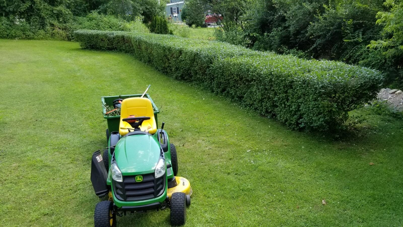 BLACK+DECKER 40V MAX Hedge Trimmer, Cordless, 24-Inch Blade, Battery and Charger Included (LHT2436) customer photo 2
