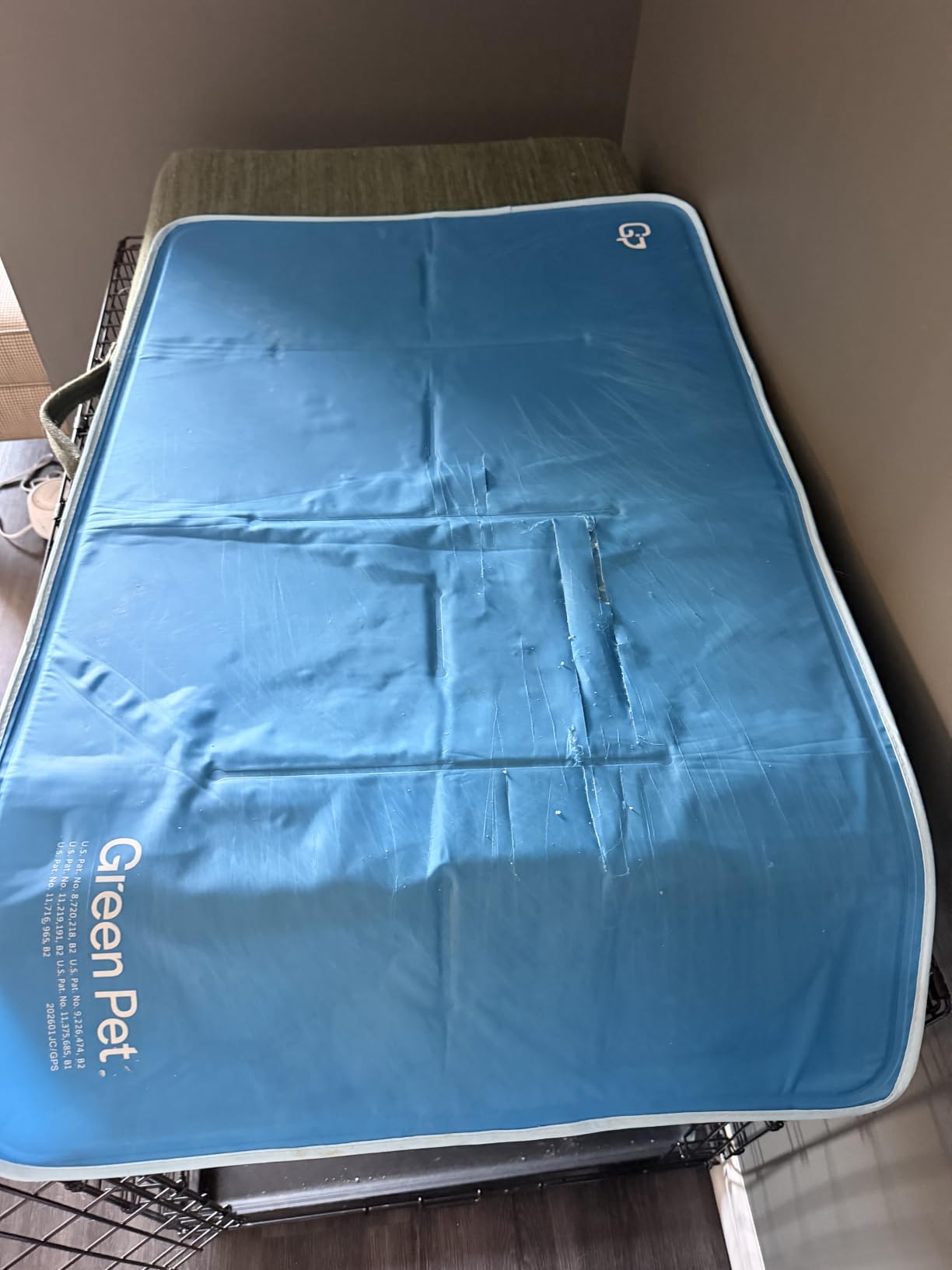 The Green Pet Shop Cool Pet Pad - Large, Blue - Self-Cooling, Pressure Activated Mat for Dogs & Cats from 46-80 lbs - Non-Toxic Gel, No Water Needed customer photo 2