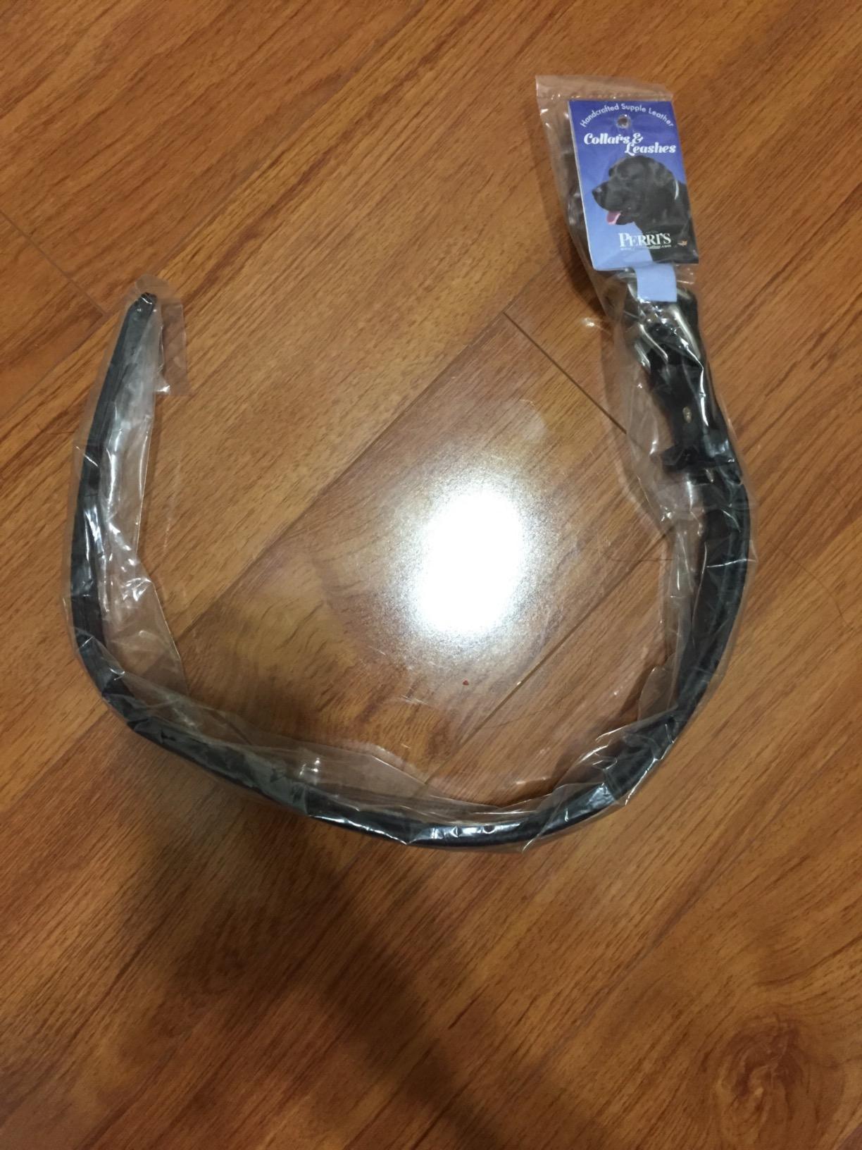 Perri's Padded Leather Dog Collars in Metallic and Bold Non-Metallic Colors customer photo 2