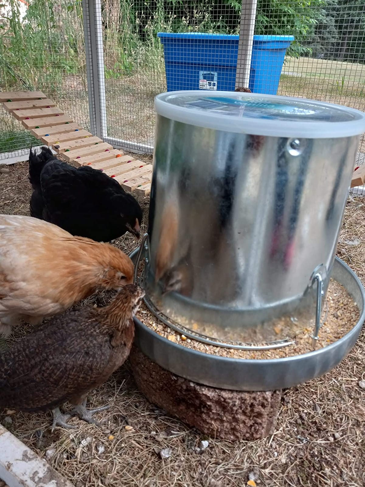 Harris Farms 1000293 Galvanized Hanging Poultry Feeder, 15 lbs, Metal customer photo 1