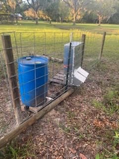 2 Door Heavy Duty Galvanized Steel Alloy Supplement Outdoor Hog Feeder with Free Acting Doors for 8 Full Grown Hogs and Pigs customer photo 1
