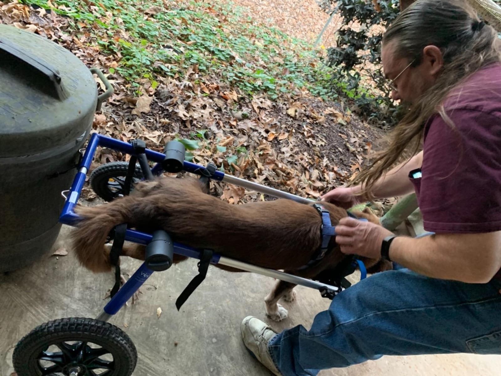 Walkin' Wheels Dog Wheelchair - for Large Dogs 70-180 Pounds - Veterinarian Approved - Dog Wheelchair for Back Legs customer photo 1