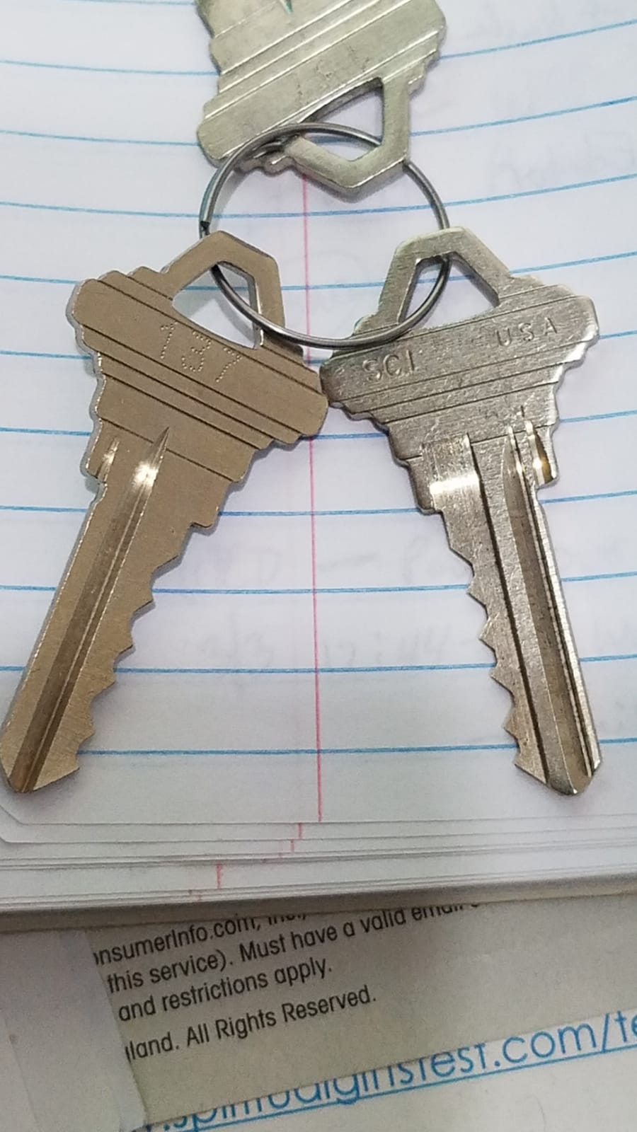 Prime-Line E 2402 Re-Keying Kit - Re-Key a Lock Kit with Pre-Cut Keys for Rekeying all your Locks to One Key, For Schlage Brand Locks, Type C 5-Pin Style customer photo 1