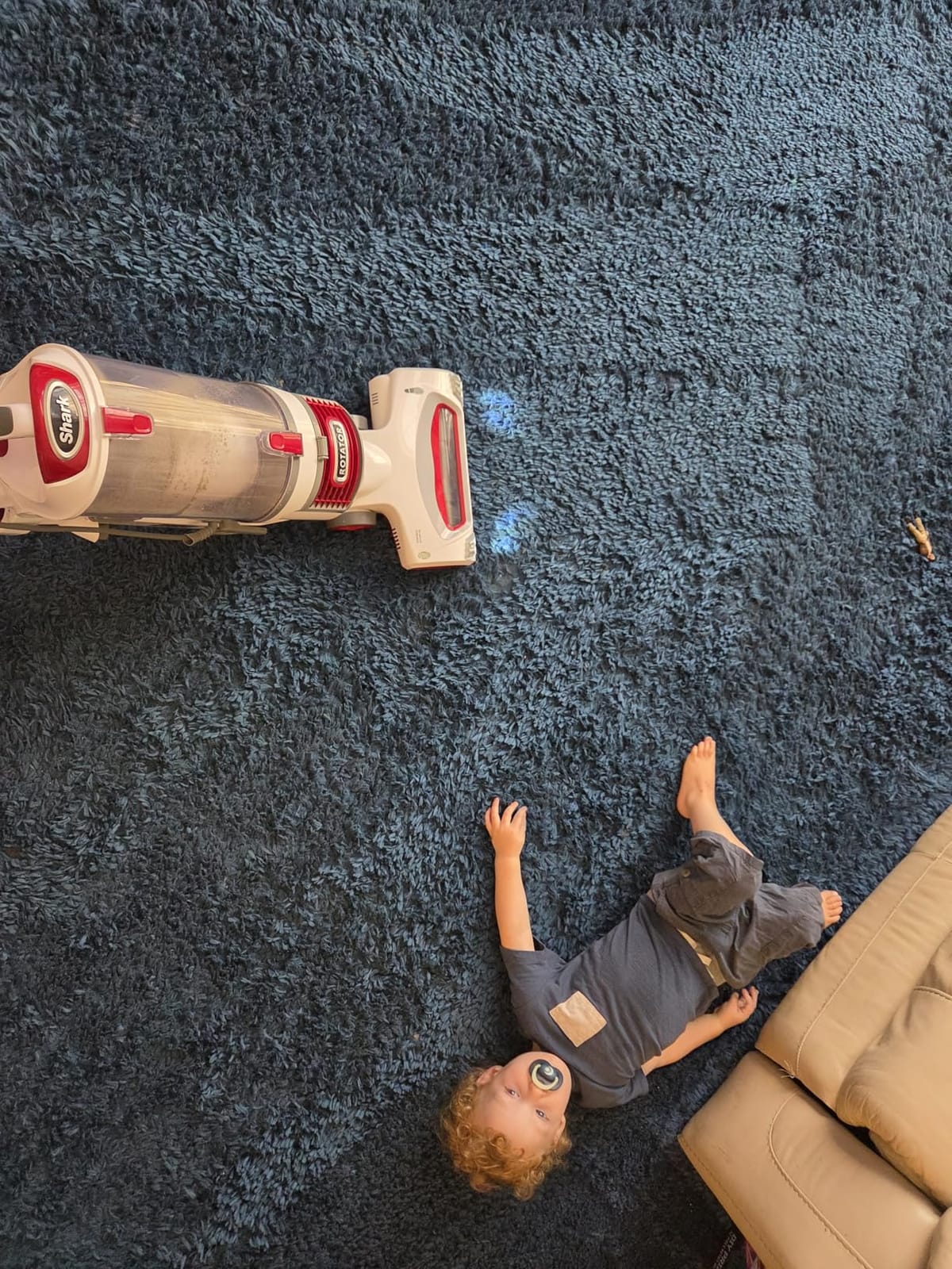 Shark Upright Vacuum Cleaner | Rotator Lift-Away | Pet Hair, Carpet & Hard Floor Cleaning | Dusting Brush, Upholstery & Crevice Tools | HEPA Filter | Swivel Steering | Headlights | White/Red | NV501 customer photo 2