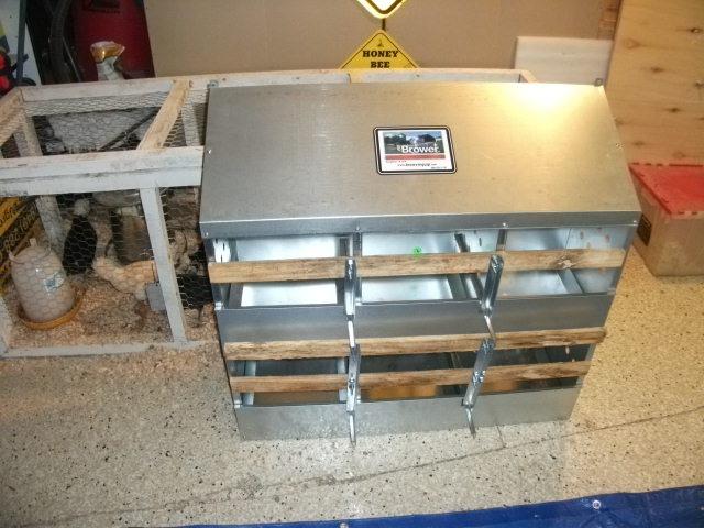 Brower 2-Tier 10-Hole Galvanized Steel Chicken Nesting Box, 50 to 60 Hen Capacity - Outdoor Poultry Laying Station with Hinged Folding Perches, Ventilated Design & Slanted Roof - Made in the USA customer photo 1