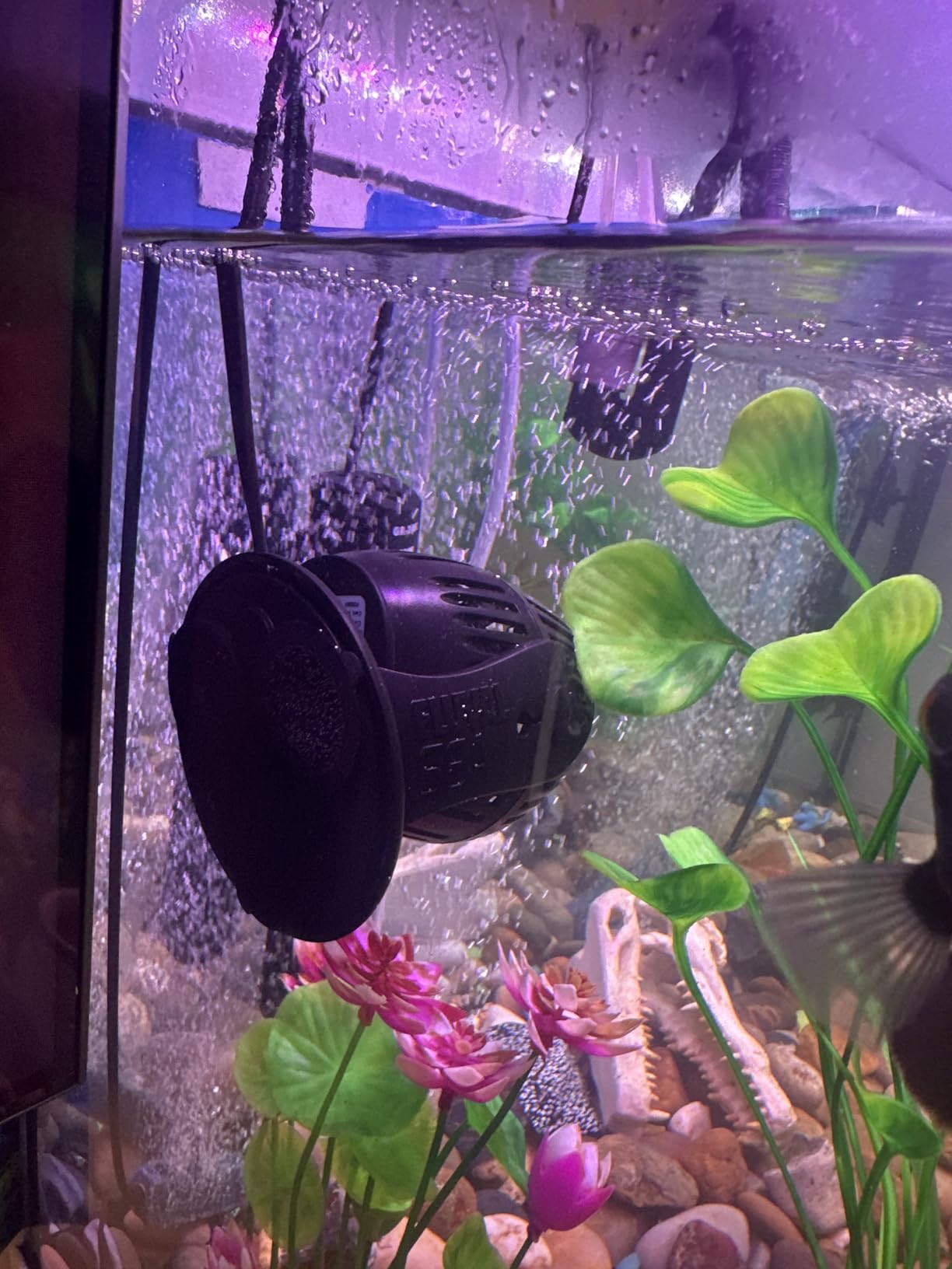 Fluval Sea CP3 Wave Maker Circulation Pump customer photo 1