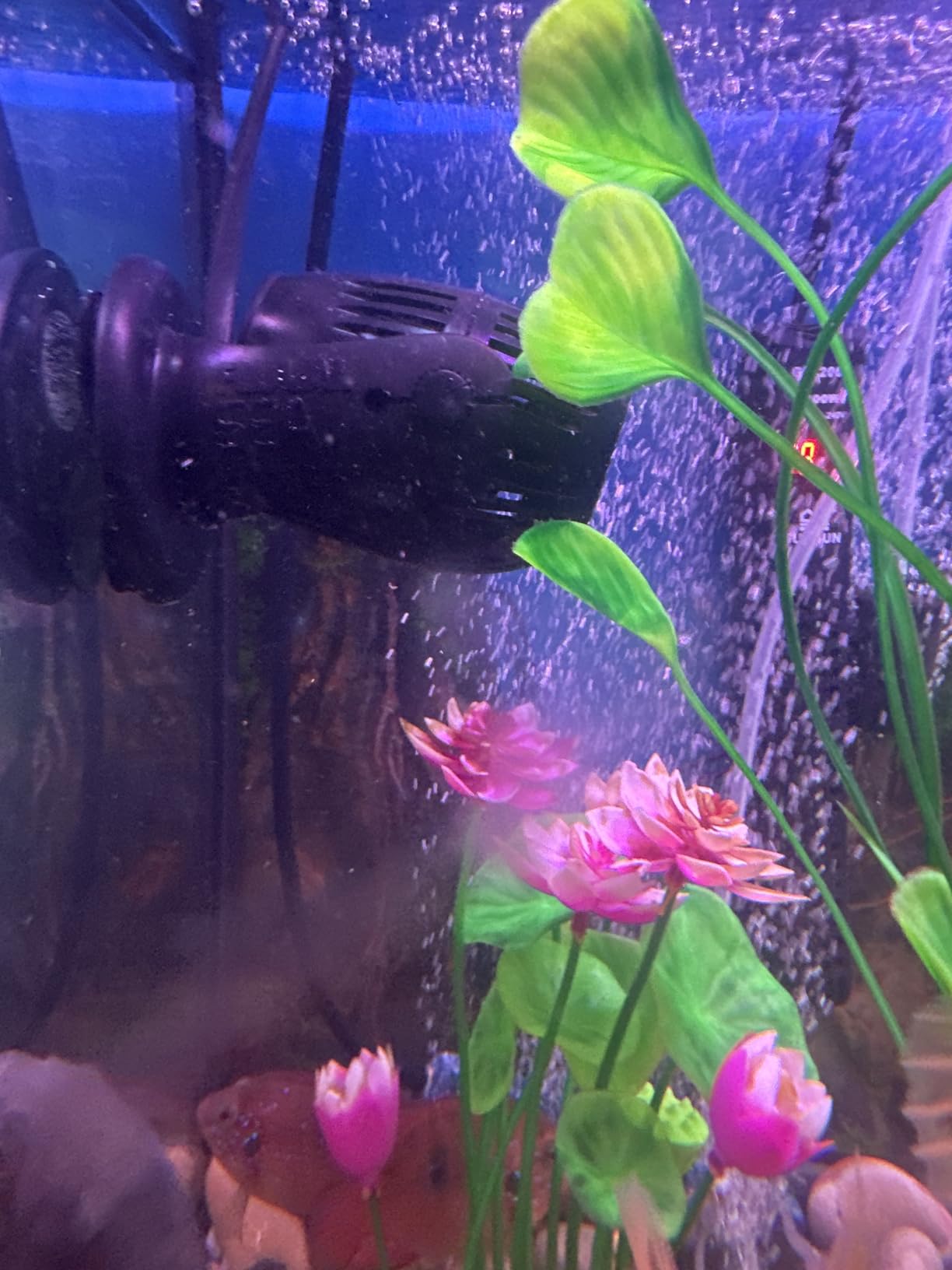 Fluval Sea CP3 Wave Maker Circulation Pump customer photo 2