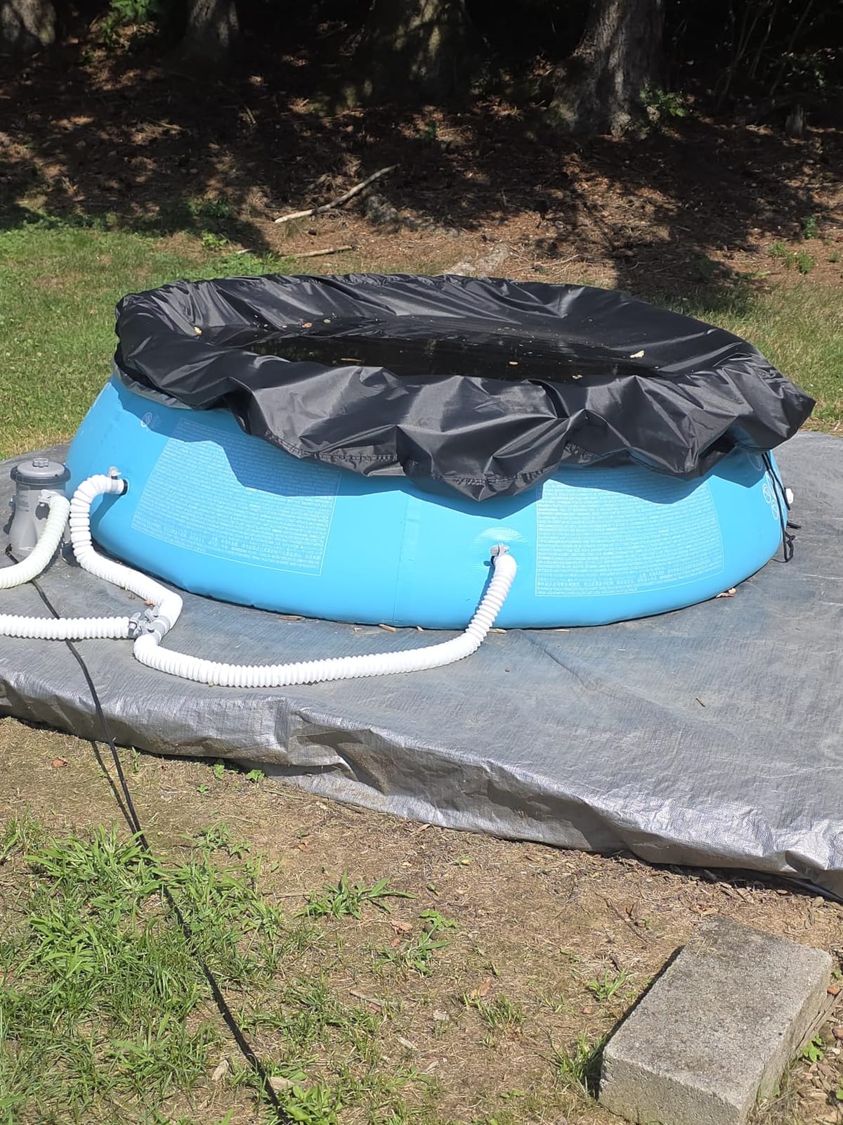 INTEX 28101EH Easy Set Inflatable Swimming Pool: 6ft x 20in - Puncture-Resistant Material - Quick Inflation - 232 Gallon Capacity - 16in Water Depth customer photo 1