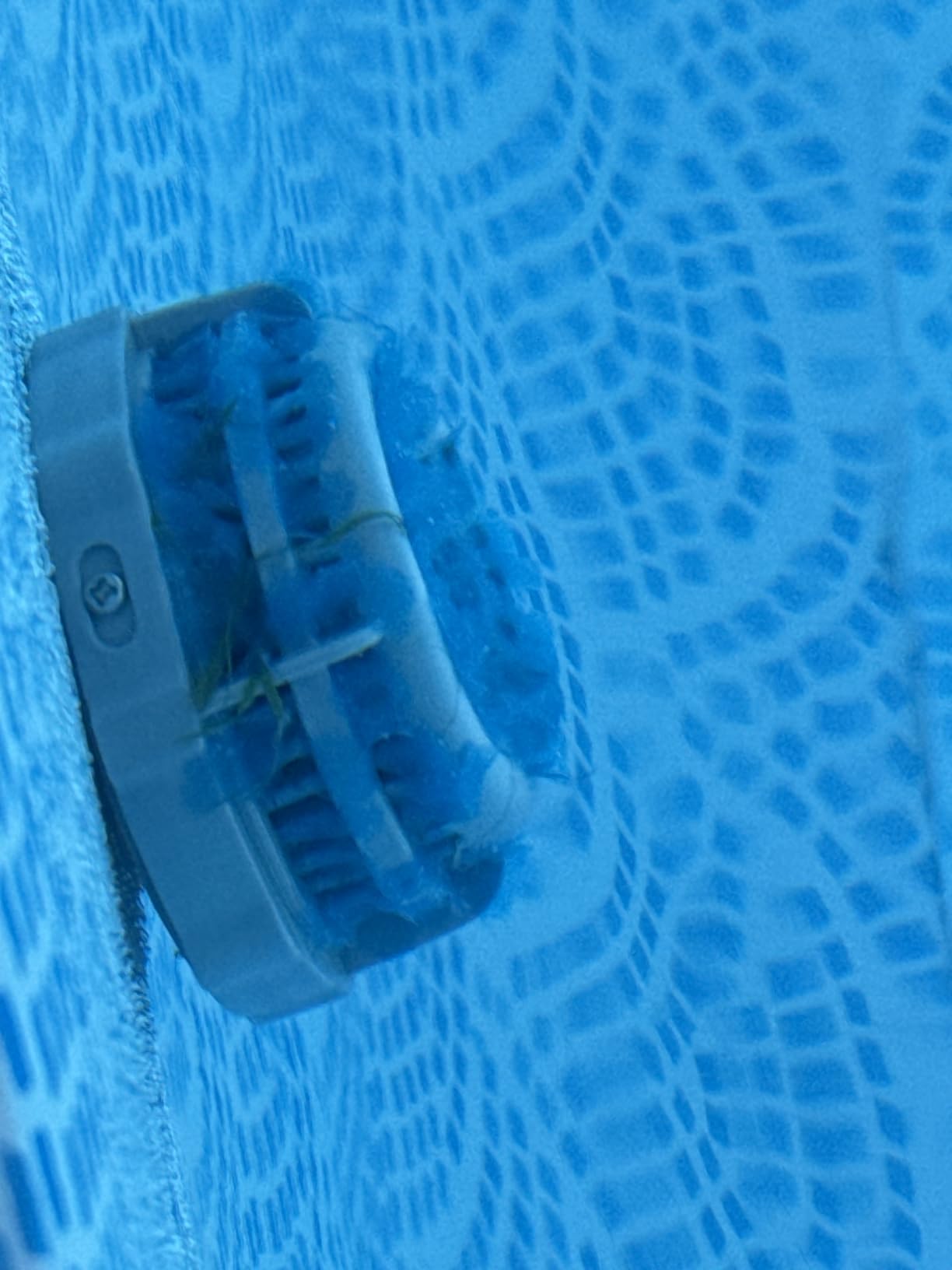 INTEX 28014E Solar Pool Cover: for 16ft Round Easy Set and Metal Frame Pools - Insulates Pool Water - Reduces Water Evaporation - Keeps Debris Out - Reduces Chemical Consumption customer photo 2