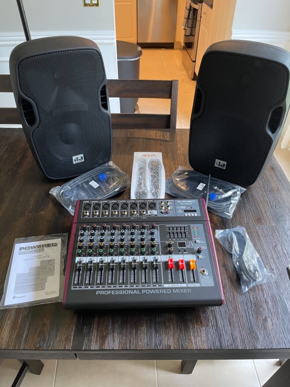 Pa System with Wireless Microphone and Speakers 10