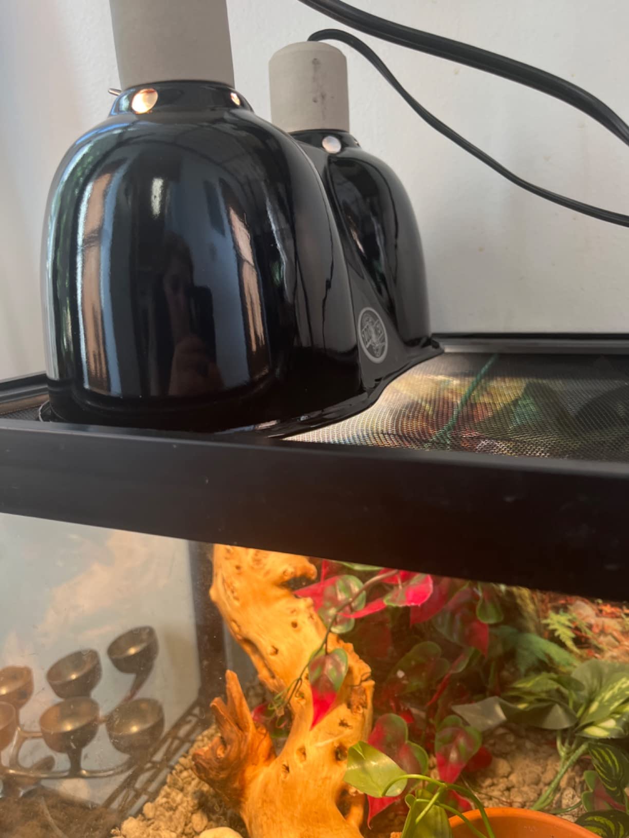 Zoo Med Desert UVB & Heat Lighting Dual Kit customer photo 1
