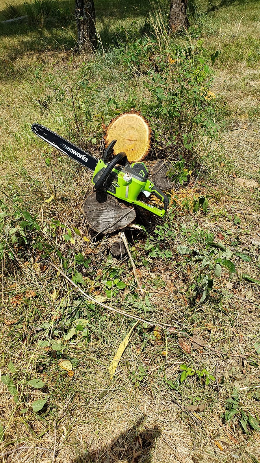 Greenworks 40V 16