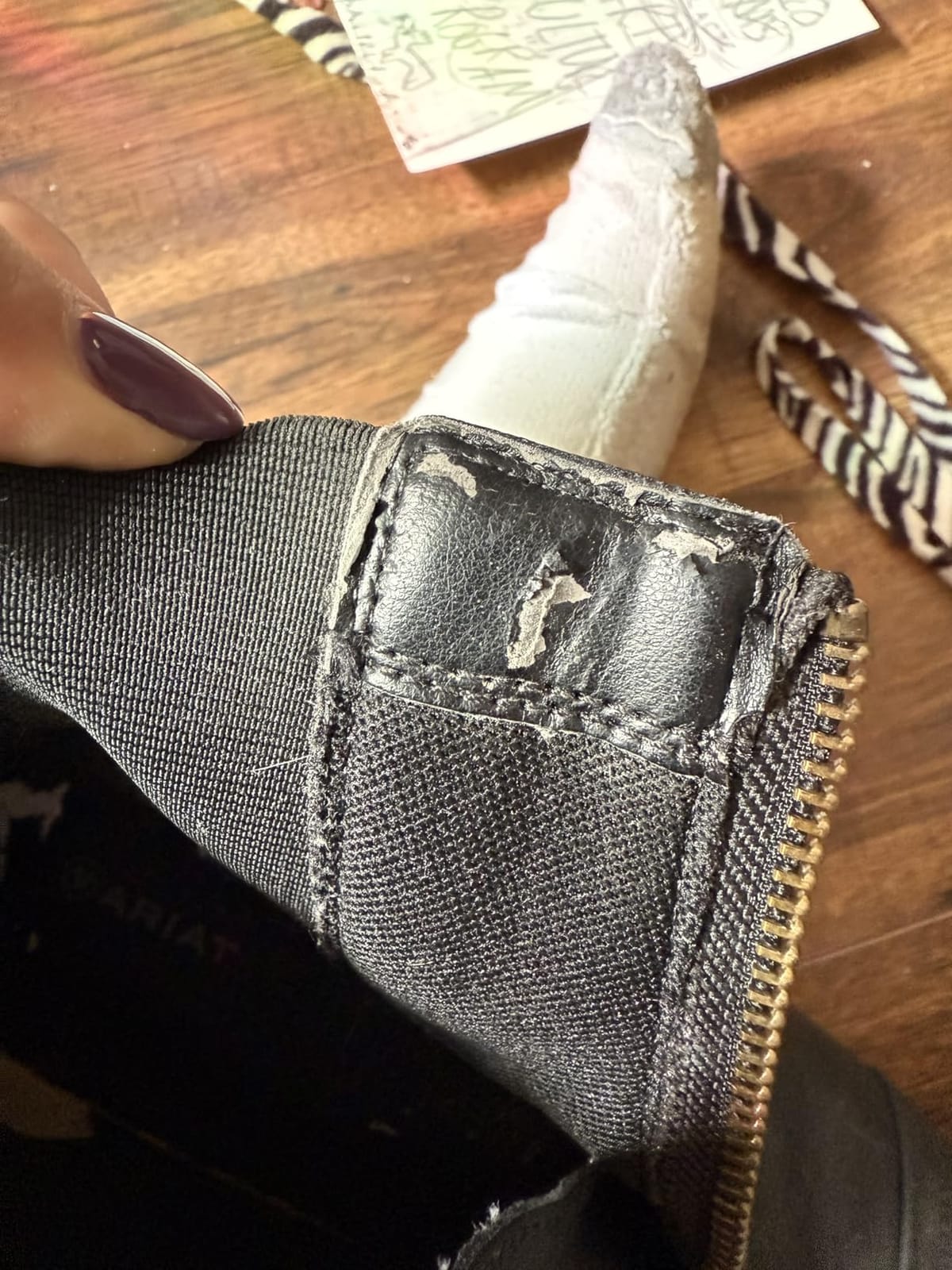 ARIAT Scout Zip Paddock customer photo 1