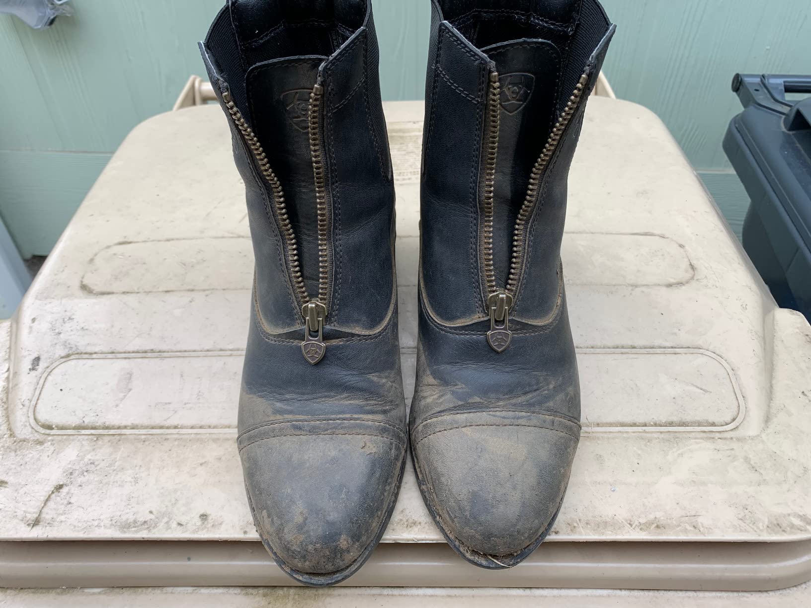 ARIAT Scout Zip Paddock customer photo 2