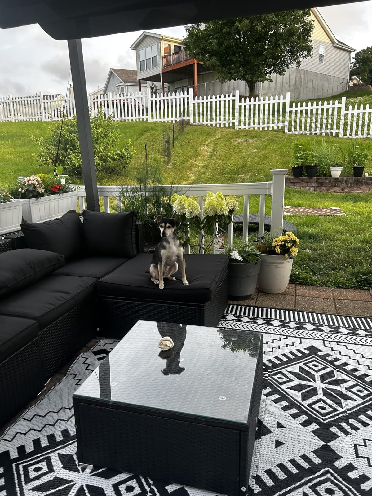 Puppy Playpen - Foldable Metal Exercise Enclosure with Eight 24-Inch Panels - Indoor/Outdoor Fence for Dogs, Cats, or Small Animals by PETMAKER customer photo 2