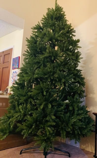 National Tree Company 12ft Unlit Dunhill Fir Artificial Full Christmas Tree | 7,794 Tips, Includes Stand, Green customer photo 1