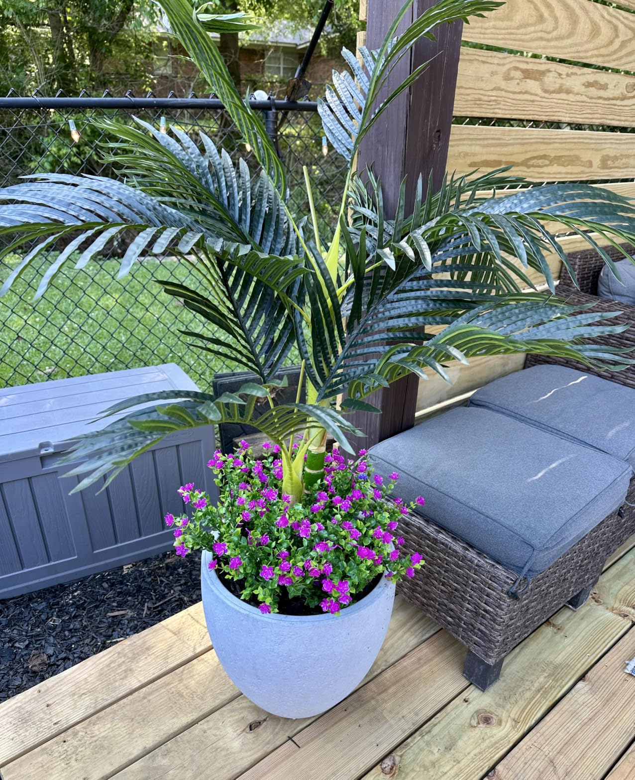 Nearly Natural 4 ft Artificial Golden Cane Palm Tree with Nursery Pot | Double-Stalk, Lush Realistic Foliage, Indoor Faux Palm Plant, Living Room Decor, Perfect Tropical Decoration customer photo 1