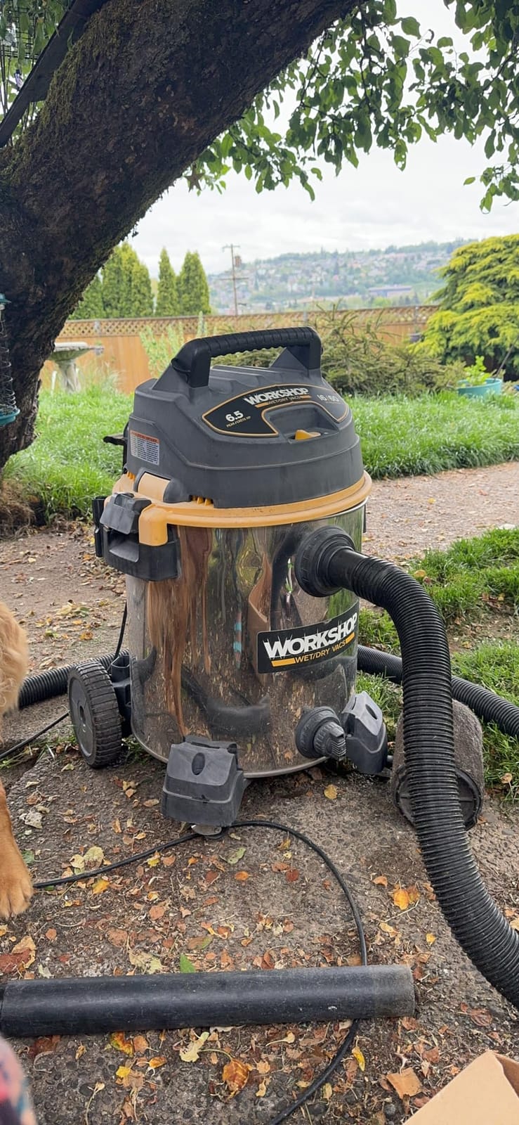 WORKSHOP Wet/Dry Vacs WS1600SS 16-Gallon 6.5 Peak HP Wet Dry Vacuum Cleaner, Stainless Steel customer photo 1
