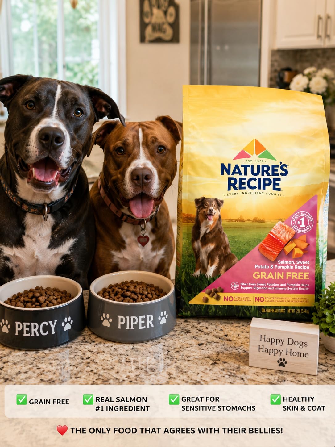 Nature's Recipe Grain Free Dry Dog Food, Salmon, Sweet Potato & Pumpkin Recipe, 12 lb. Bag customer photo 1