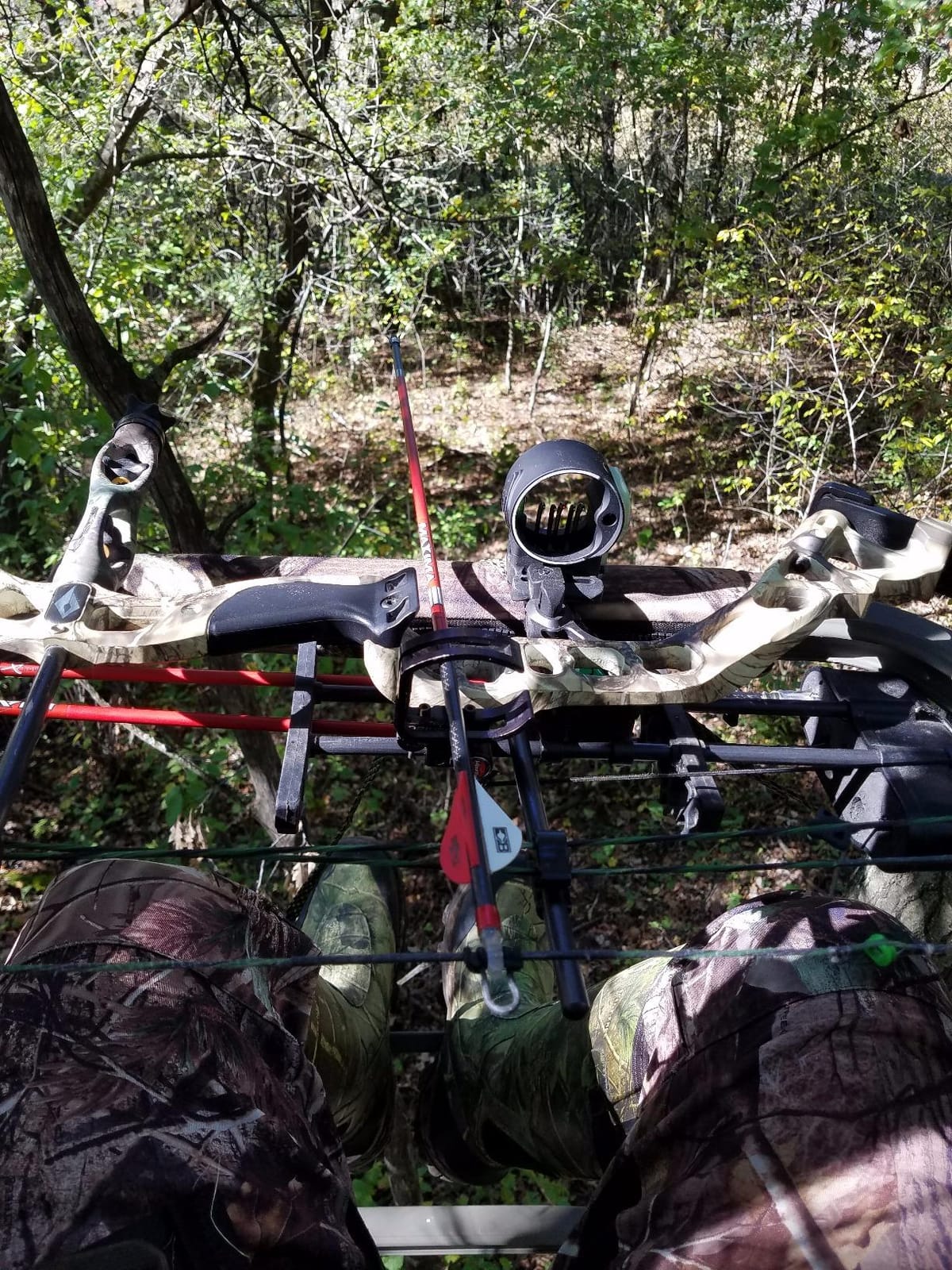 Summit Treestands Titan SD Climbing Treestand customer photo 1