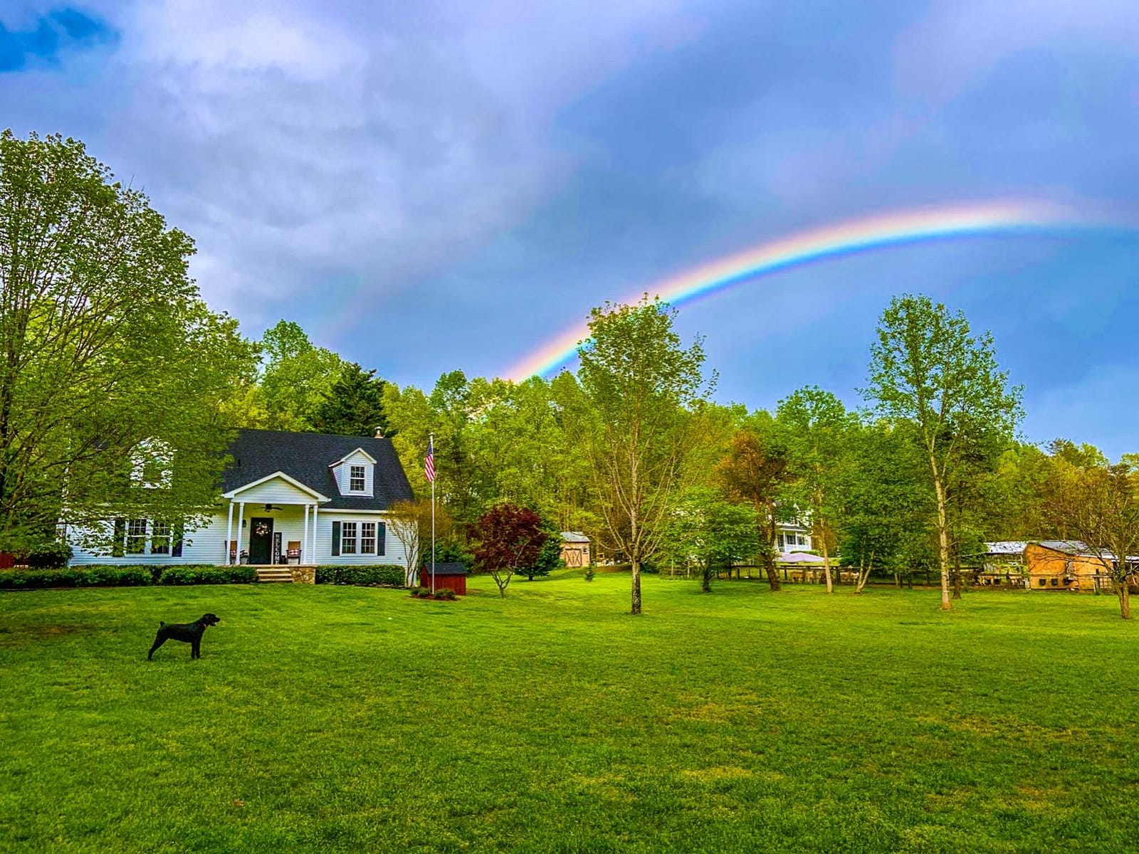 PetSafe Basic In-Ground Fence, Up to 1/3 Acre | Tone-Only Mode Plus 4 Static Levels, Includes 500 Ft Wire, Expandable up to 5 Acres, DIY Weekend Install, Pets 8lb+ customer photo 2