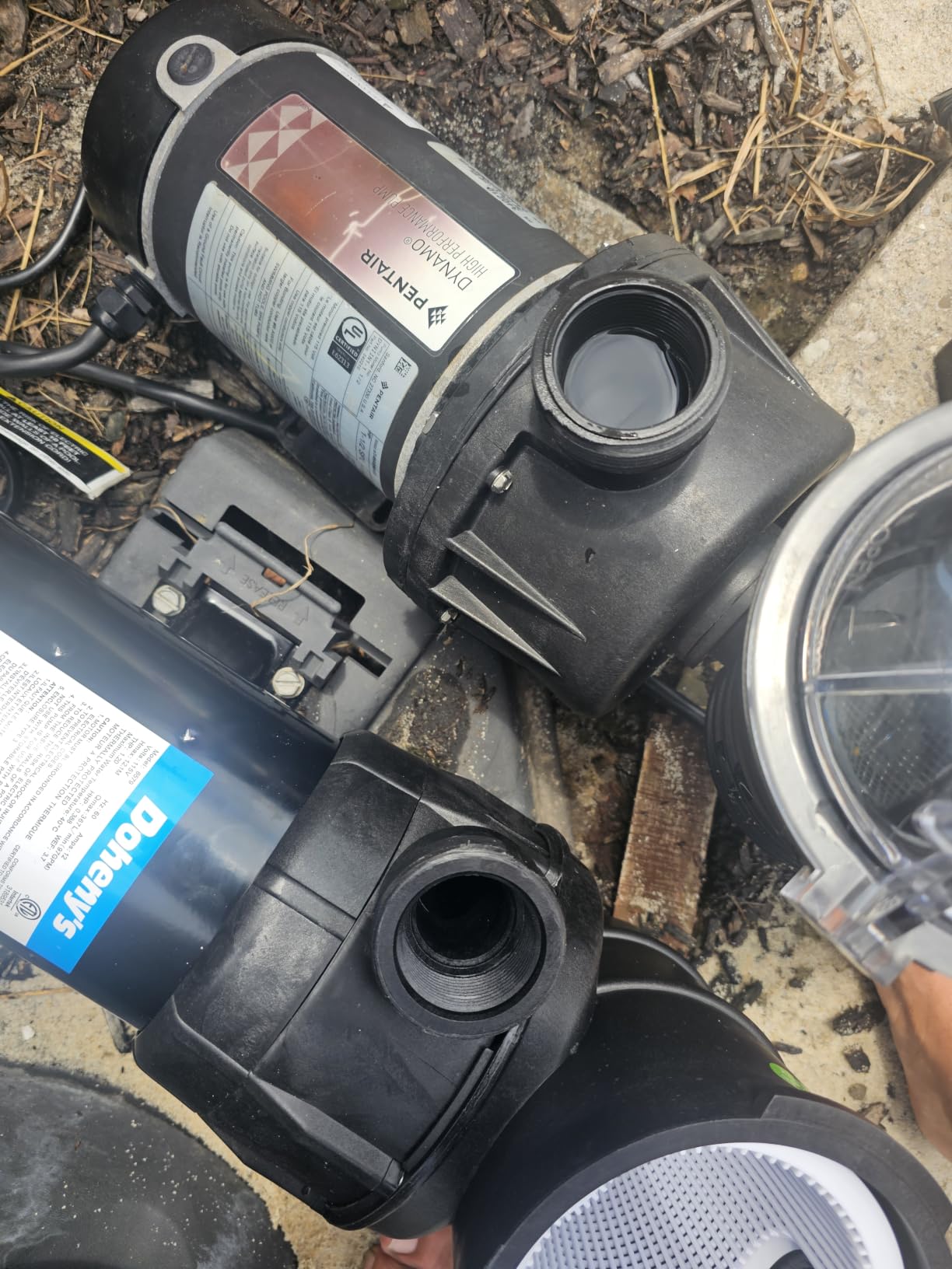 Doheny's 1.5 HP Above Ground Swimming Pool Pump | 115V, 83 GPM (1.2 THP) | Stainless Steel Shaft, Reinforced Thermoplastic, Low-Noise, High-Efficiency | 1.5