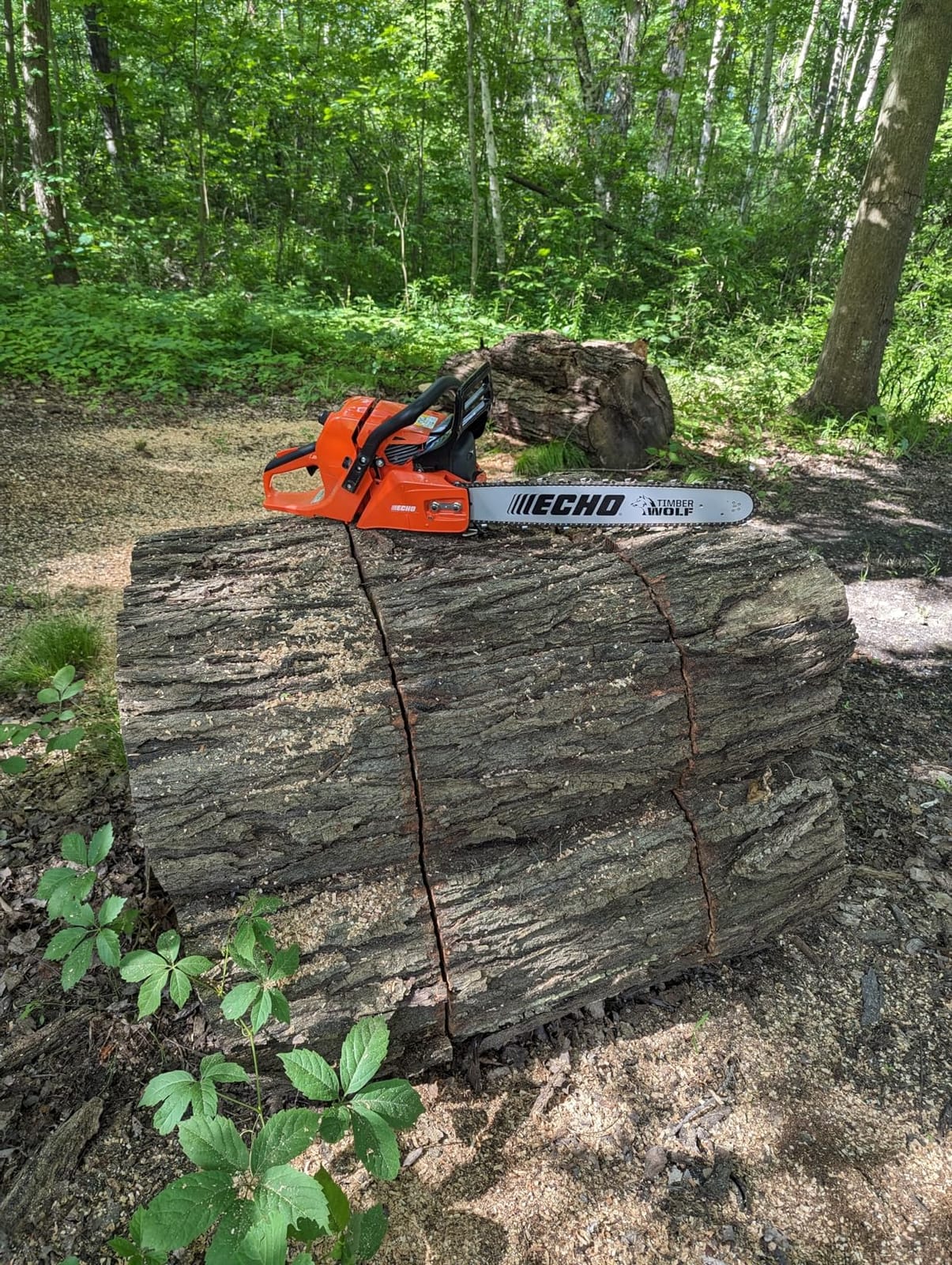 Echo CS-590-20AA 20 in. 59.8 cc Gas Chainsaw customer photo 2