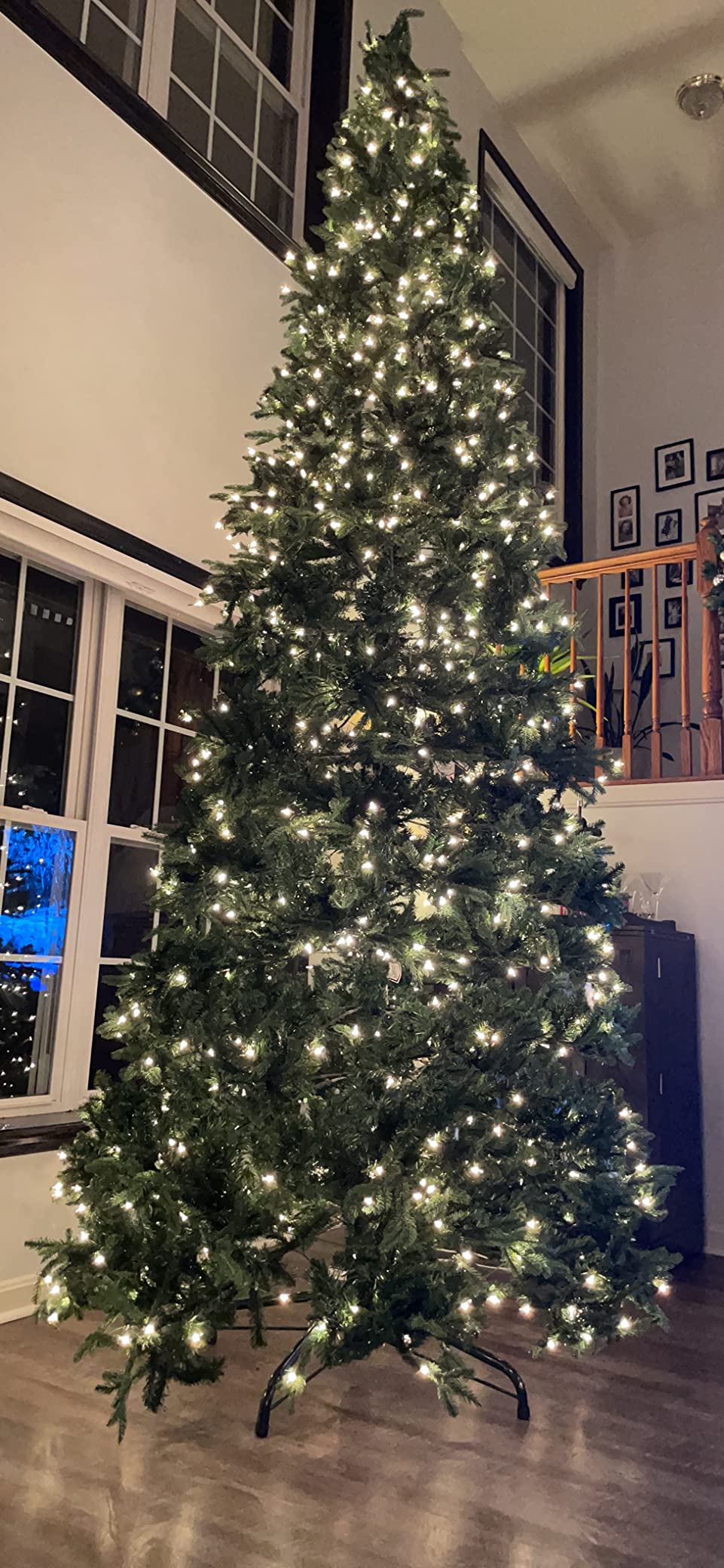 National Tree Company 12ft Pre-Lit Tiffany Fir Slim Christmas Tree | 1,200 Clear Lights, 4,828 Tips, Includes Stand, Artificial, Green customer photo 2