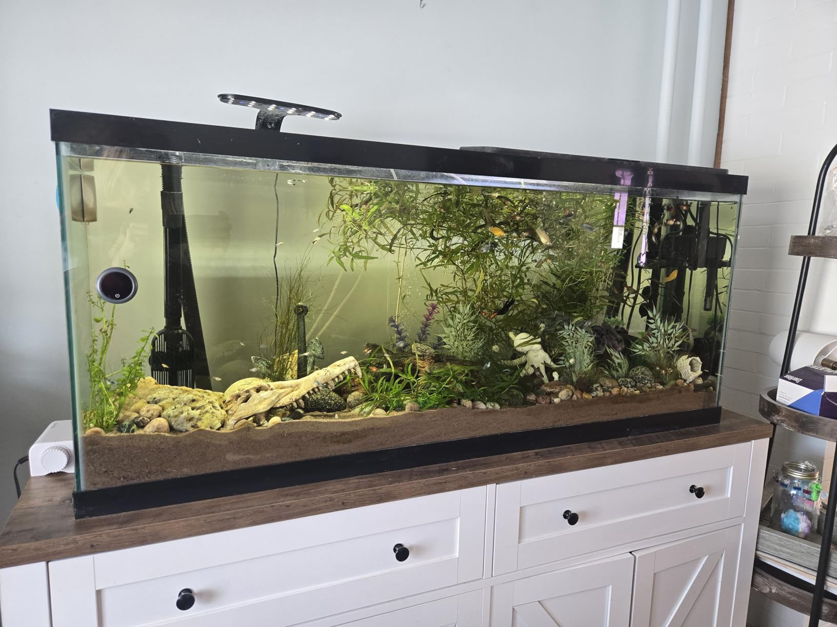 Fluval FX4 High Performance Aquarium Filter, up to 250 Gal. customer photo 1