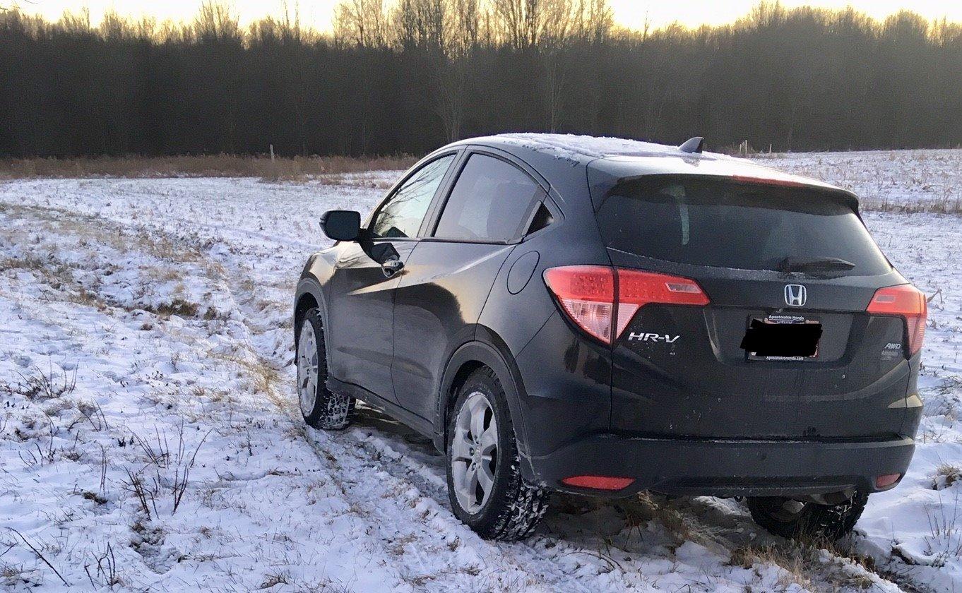 Continental TerrainContact A/T All-Terrain Radial Tire - 245/75R16 120S customer photo 1