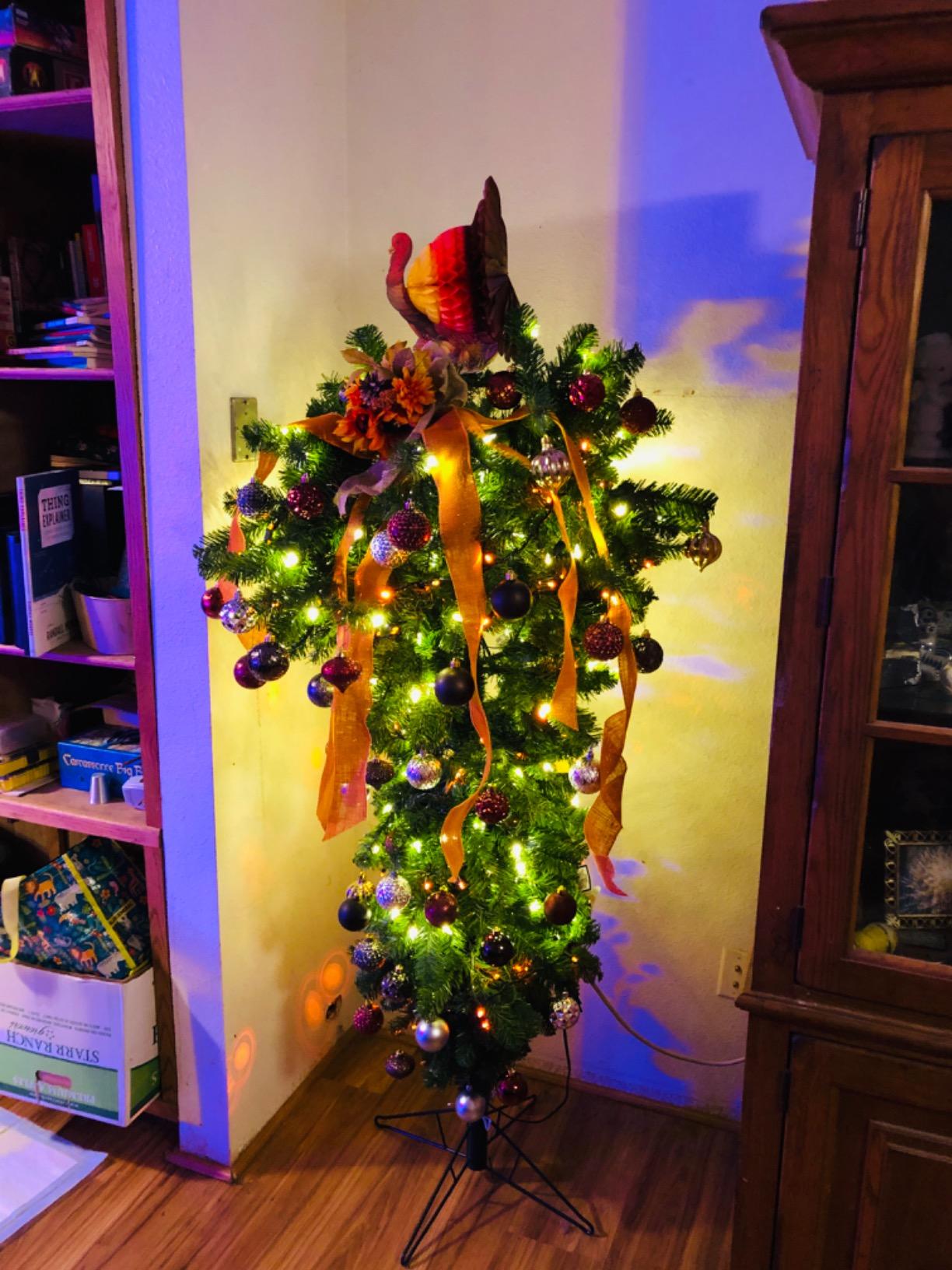 Vickerman 5.5' Green Upside Down Artificial Christmas Tree, Dura-Lit Warm White LED Lights - Faux Upside Down Christmas Tree - Seasonal Indoor Home Decor customer photo 1