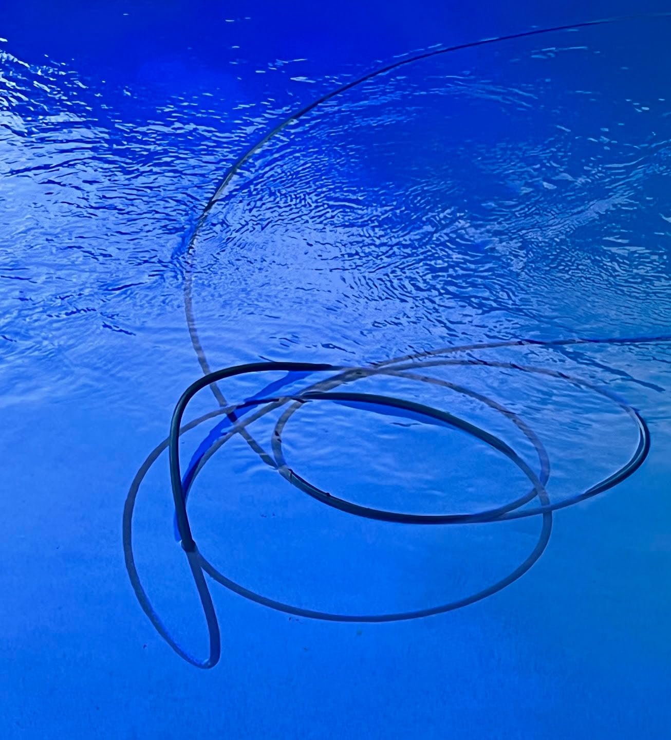 Dolphin Automatic Robotic Pool Vacuum Cleaner, Wall Climbing Scrubber Brush, Smart Navigation, Ideal for In-Ground Pools up to 50 FT in Length - Nautilus CC Plus customer photo 2