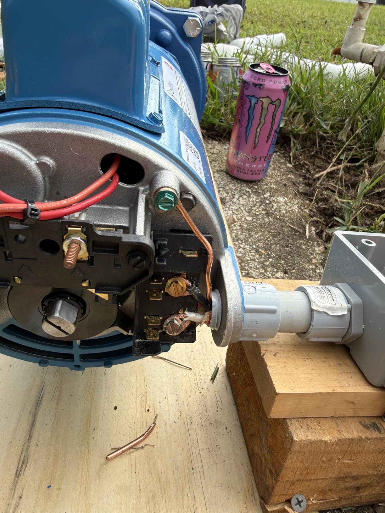 GOULDS Pumps GT20 IRRI-Gator Self-Priming Single Phase Centrifugal Pump, 2 hp, Blue customer photo 2