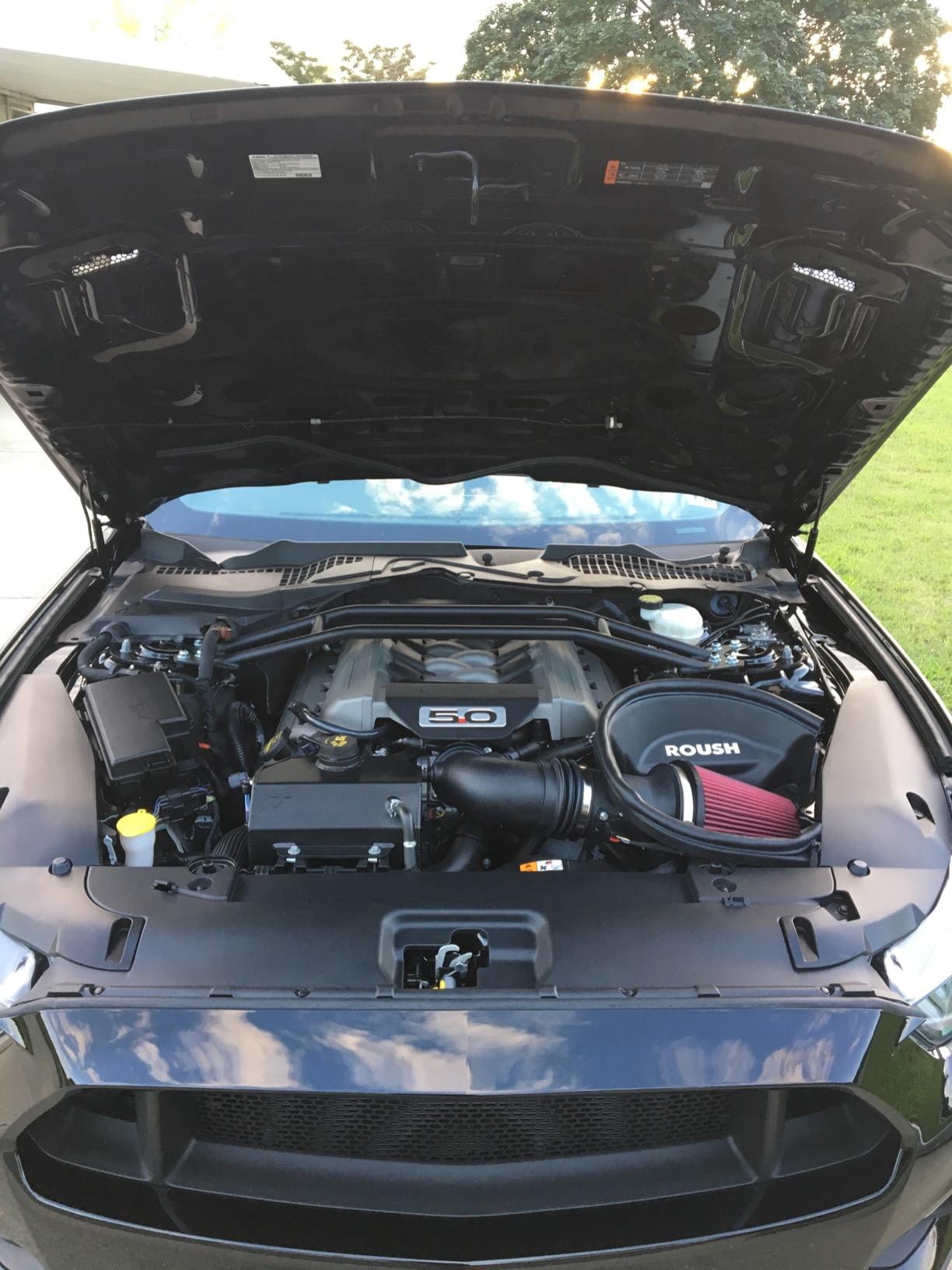 ROUSH 421826 2015-2017 Mustang 5.0 Liter V8 Cold Air Kit customer photo 1