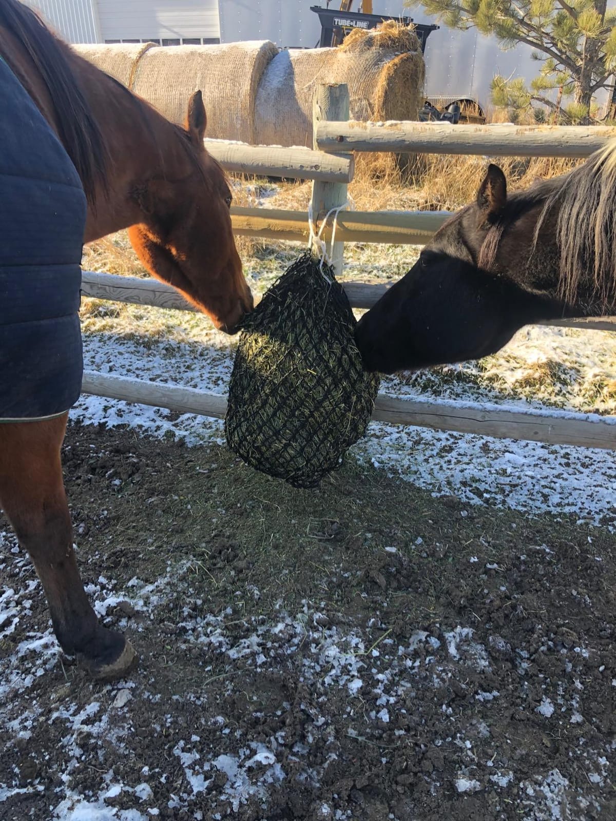 Weaver Equine Slow Feed Hay Net 36in Black customer photo 1