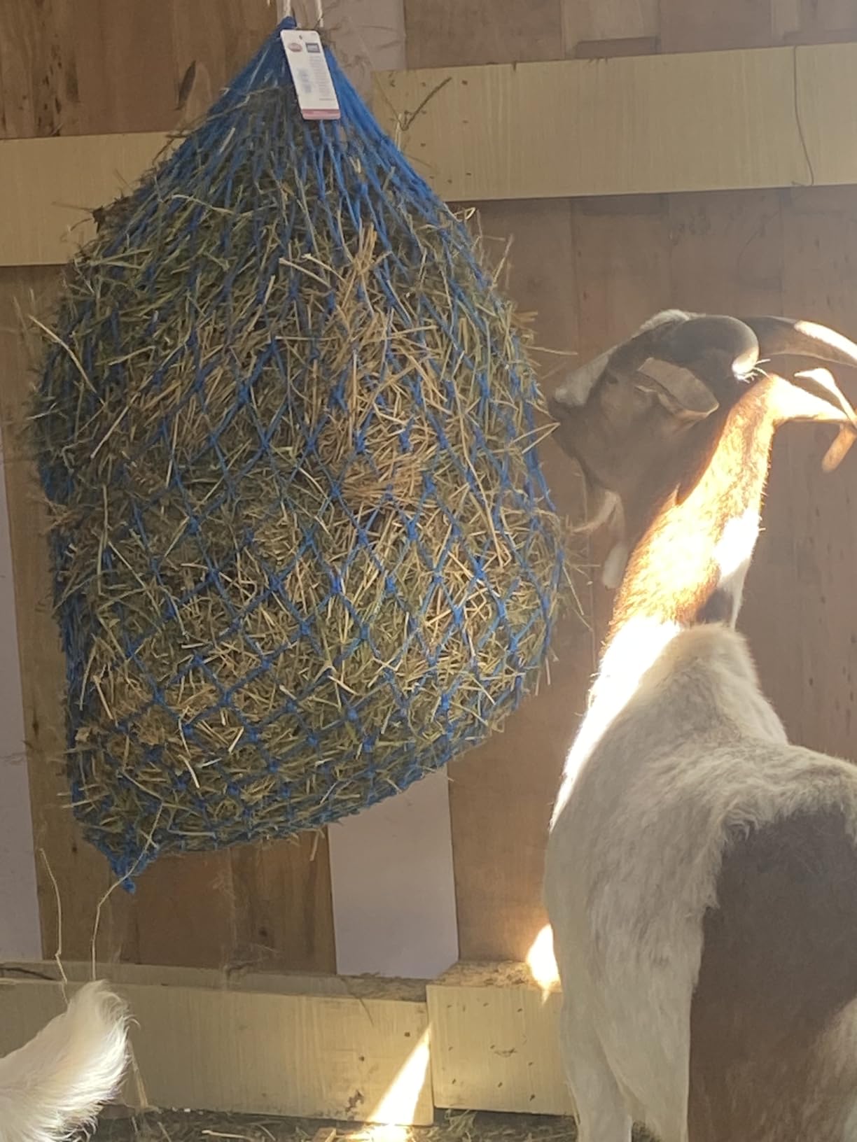 Weaver Equine Slow Feed Hay Net, 36