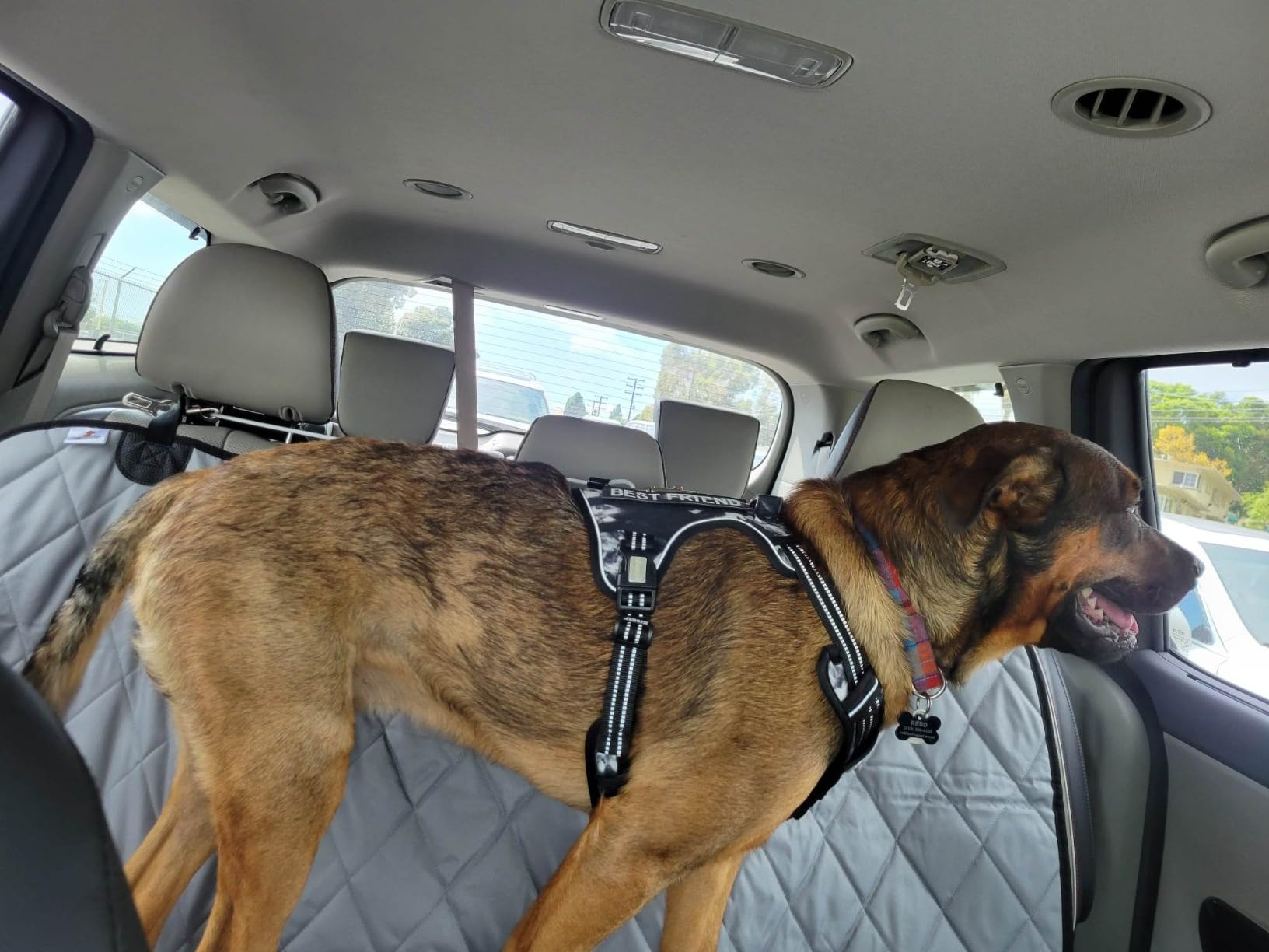 4Knines Heavy-Duty Rear Seat Cover for Dogs - Fitted, Tan Reg | K9-Shield waterproof layer, non-slip backing, quick-release clips for easy install and cleanup. Machine washable. customer photo 1