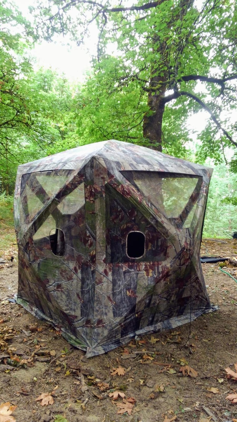 Barronett Big Cat Ground Hunting Blind, 3 Person Pop Up Portable customer photo 2