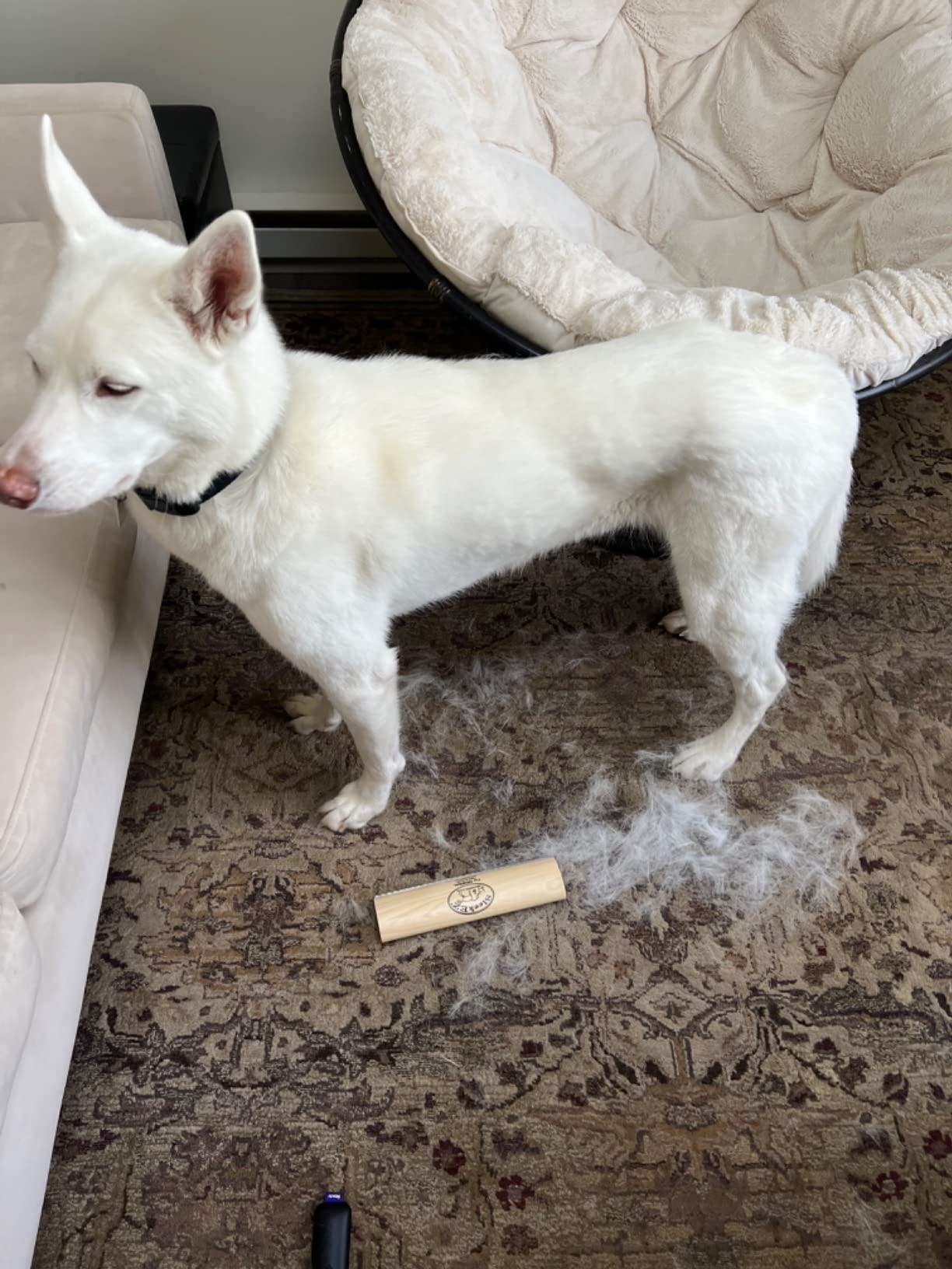 SleekEZ 10 Inch Horse Brush - Patented Horse Shedding Blade Made in USA - Removes Loose Hair & Undercoat - Deshedding Tool for Donkeys, Cows & Large Animals - Helps Reduce Seasonal Shedding customer photo 1