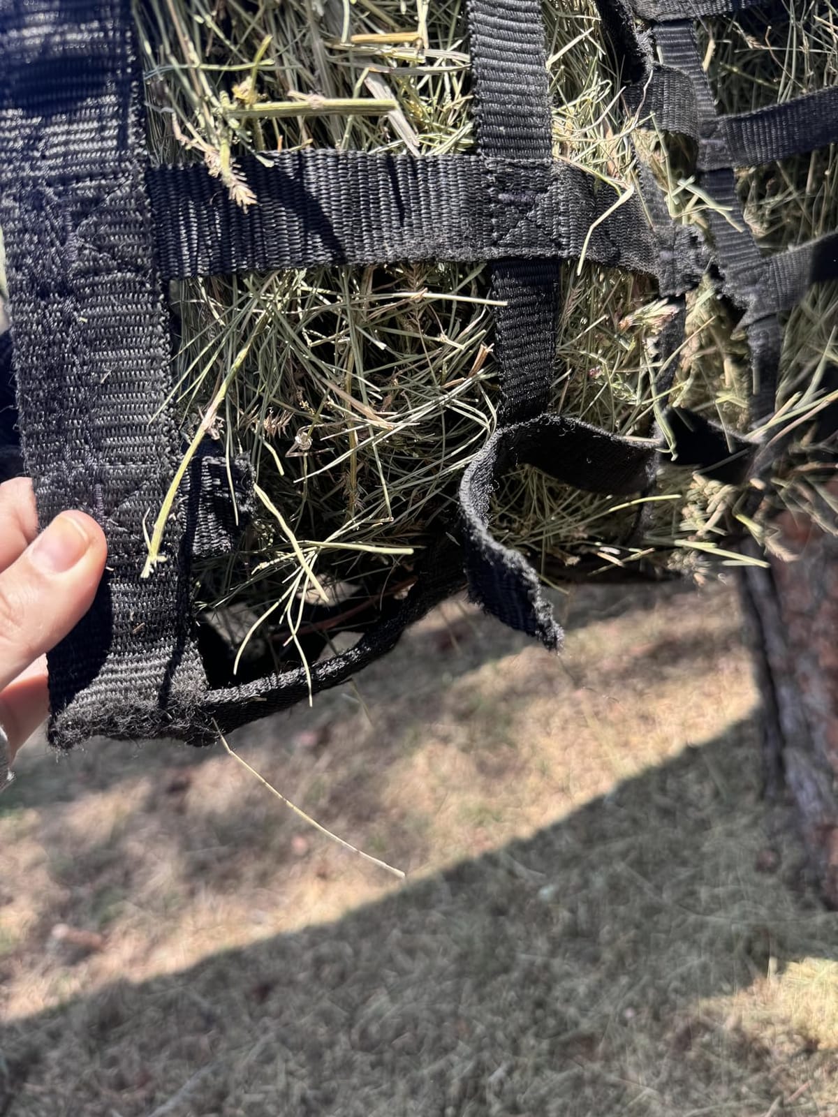 Derby Originals Supreme Patented Four Sided Slow Feed Horse Hay Bag with 1 Year Warranty customer photo 2