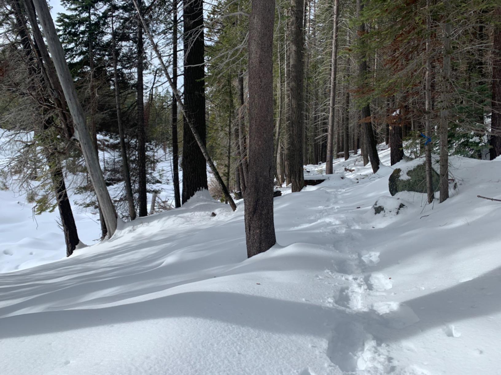 MSR Evo Ascent Backcountry & Mountaineering Snowshoes, 22 Inch Pair customer photo 2