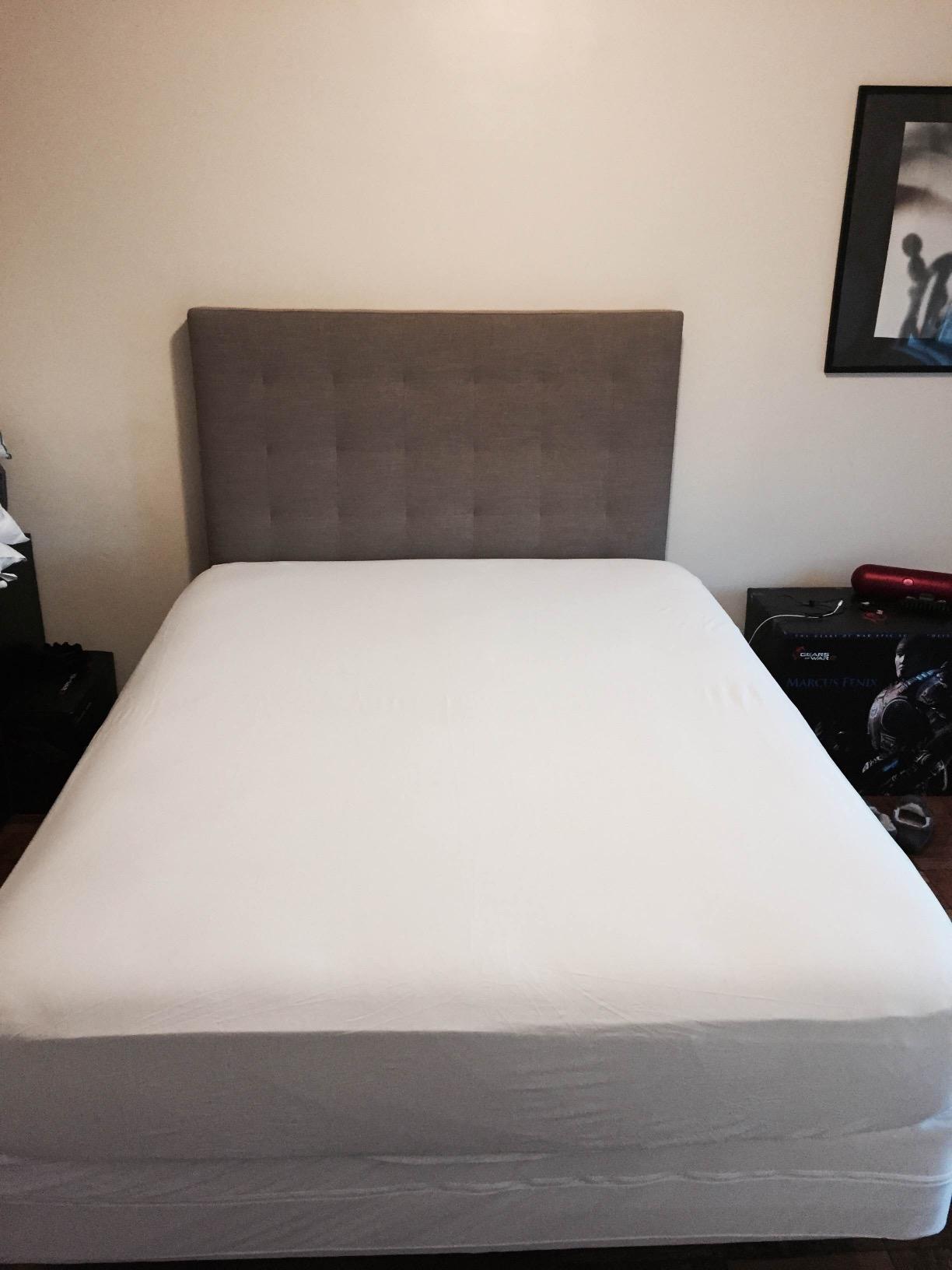 HOSPITOLOGY PRODUCTS Mattress Encasement - Zippered Bed Bug Dust Mite Proof Hypoallergenic - Sleep Defense System - Queen - Waterproof - Stretchable - Standard 12