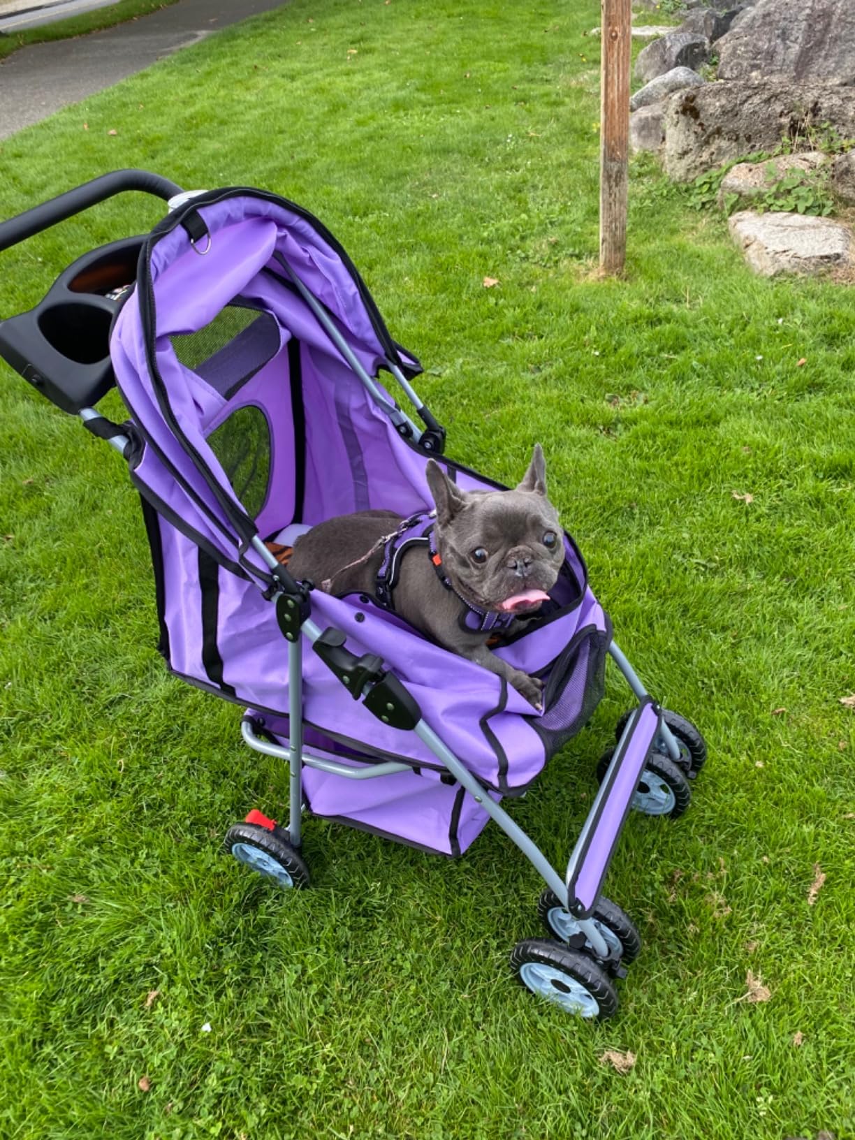 BestPet | 4-Wheel Foldable Pet Stroller | Black | Lightweight & Portable | Travel Carrier with Mesh Windows, Storage Basket, Cup Holder, Safety Brakes, and Waterproof Fabric | For Small Dogs and Cats customer photo 2