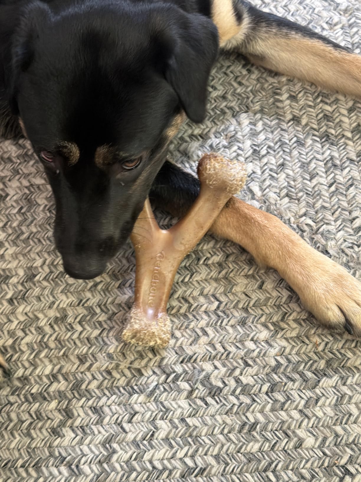 Benebone Wishbone Durable Dog Chew Toy for Aggressive Chewers, Real Peanut, Made in USA, Large customer photo 2